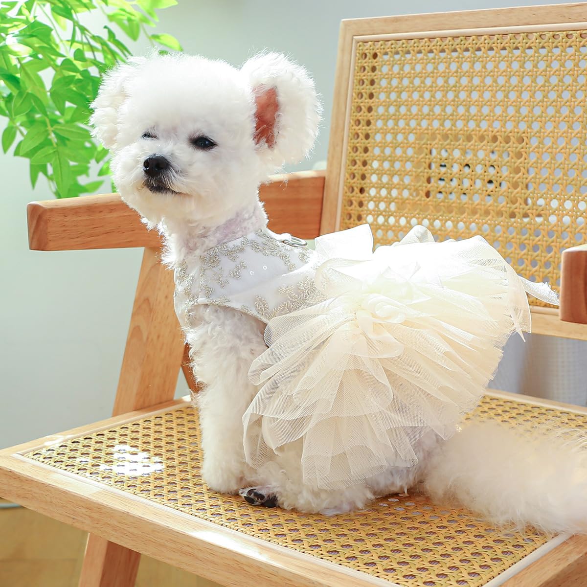Clopon Dog Dresses For Small Dogs Girl Clothes Female Yorkie Dresses Teacup Puppy Clothes Extra Small Puppy Outfit Xs