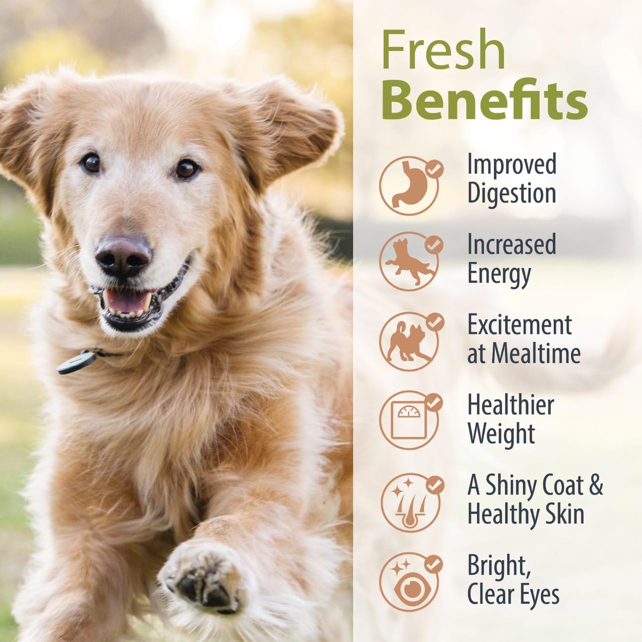 JustFoodForDogs DIY Turkey & Whole Wheat Macaroni Recipe, 4.02 oz, Nutrient Blend for Homemade Dog Food, Model 961026020