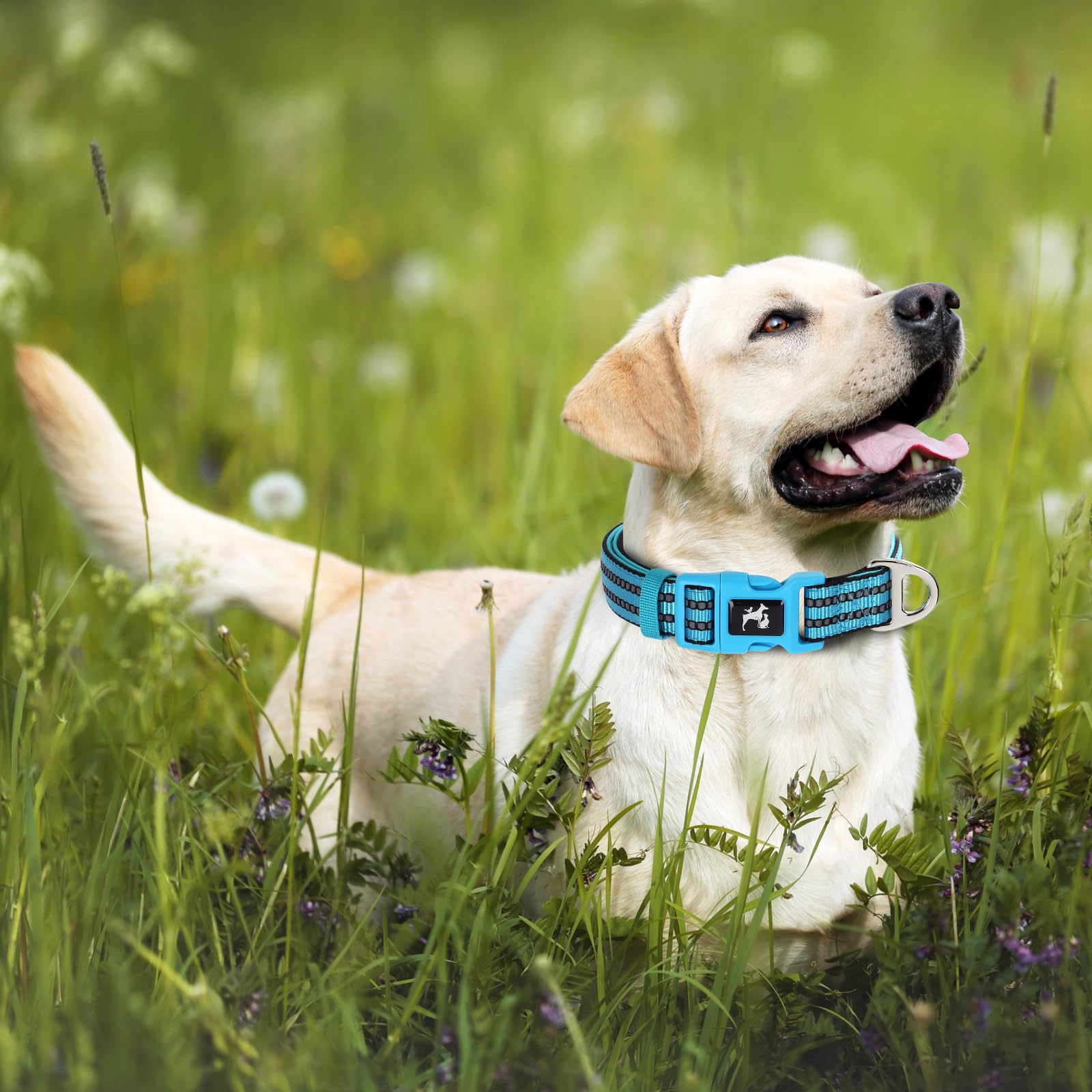Onefojojo Heavy-Duty Reflective Collar For Xl- Soft Padded Interior & D-Ring, Adjustable Dog Collar For Medium/Large Breeds For