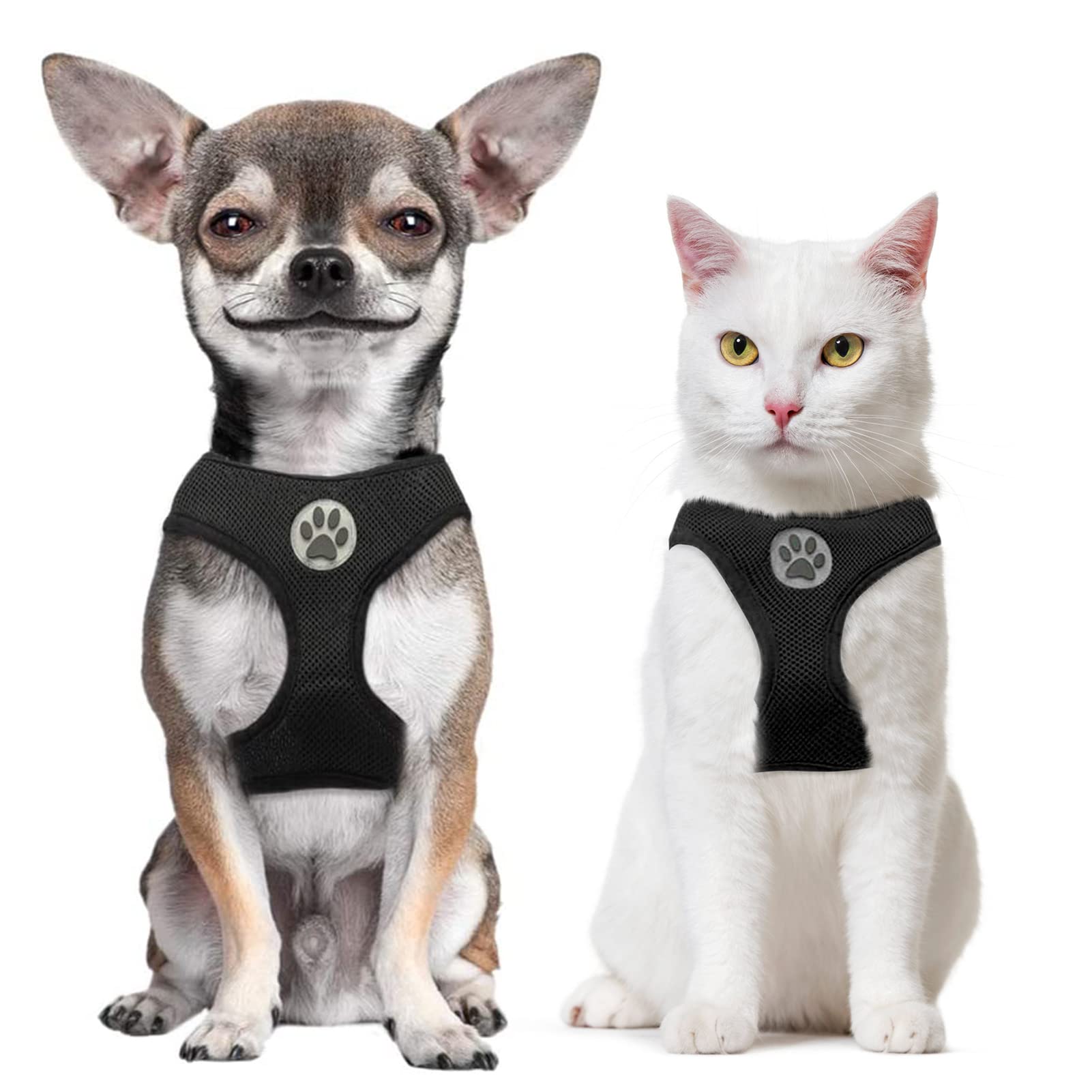 Bingpet Small Dog Harness - Breathable Mesh Puppy Cat Harnesses - No Pull Adjustable Dog Harness Dog Vest Harness For Small And Medium Dogs