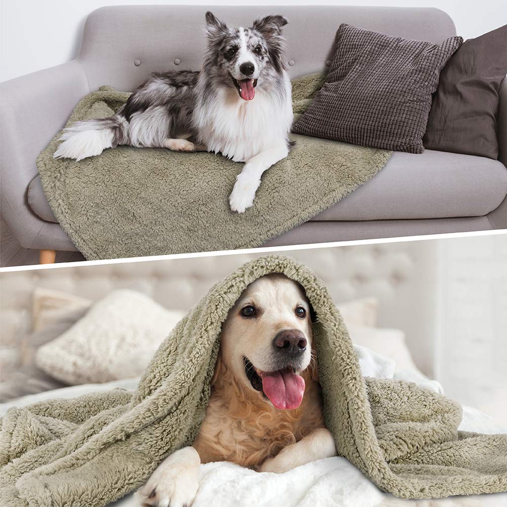 Petami Fluffy Waterproof Dog Blanket For Bed Large Dogs, Soft Warm Pet Sherpa Throw Pee Proof Couch Cover, Reversible Cat Blanket Sofa Crate Kennel Protector, Washable Mat (Taupe Camel, 60X80)