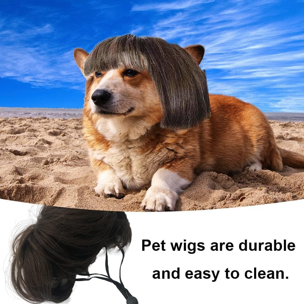 Funny Dog & Cat Cosplay Wigs - Small To Large Sizes, Perfect For Halloween, Christmas, Parties & Festivals