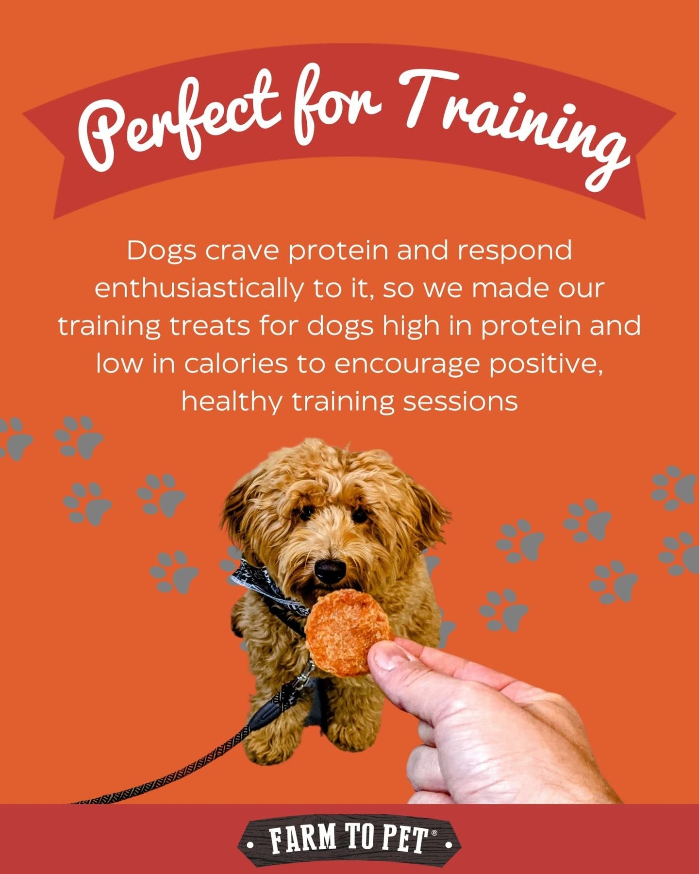 Farm To Pet Dog Training Treats, Healthy Turkey Chips for Dogs - 4 oz, 100% Human Grade Turkey Breast, All Natural, Single Ingre