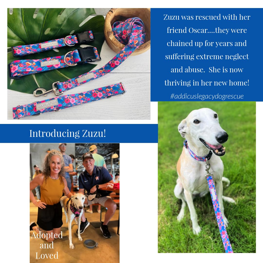 Lucky Love Dog Leash, Pattern Zuzu Dog Leash, Medium Dog Leash, Durable & Long Lasting (Zuzu, Large)