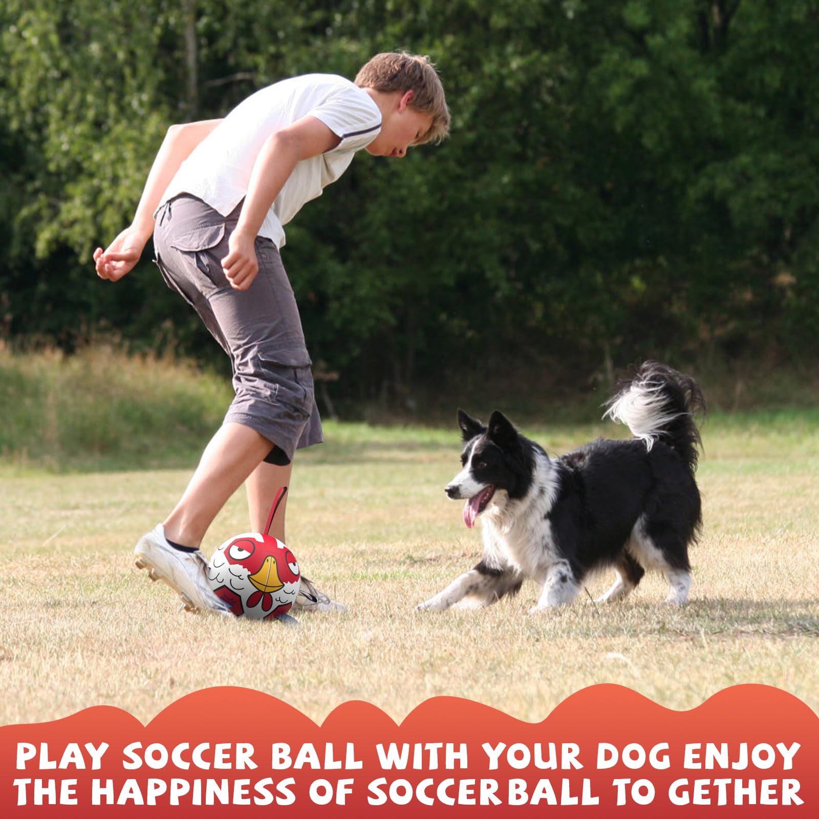 Qdan Dog Balls Toys, Outdoor Dog Toy For Small Medium Dog, Puppy Birthday Gifts, Dog Soccer Ball, 6 Inch, Chicken Dog Ball