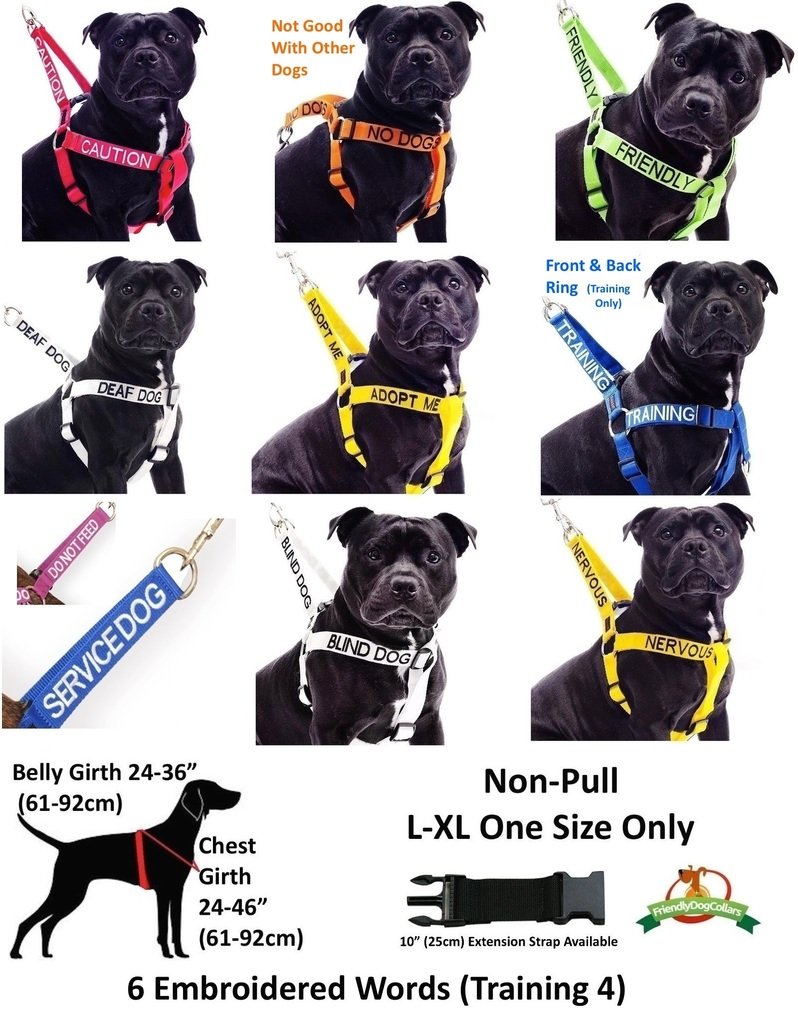 Nervous (Give Me Space) Yellow Colour Coded S-M L-Xl Dog Collars Prevents Accidents By Warning Others Of Your Dog In Advance (L-Xl)