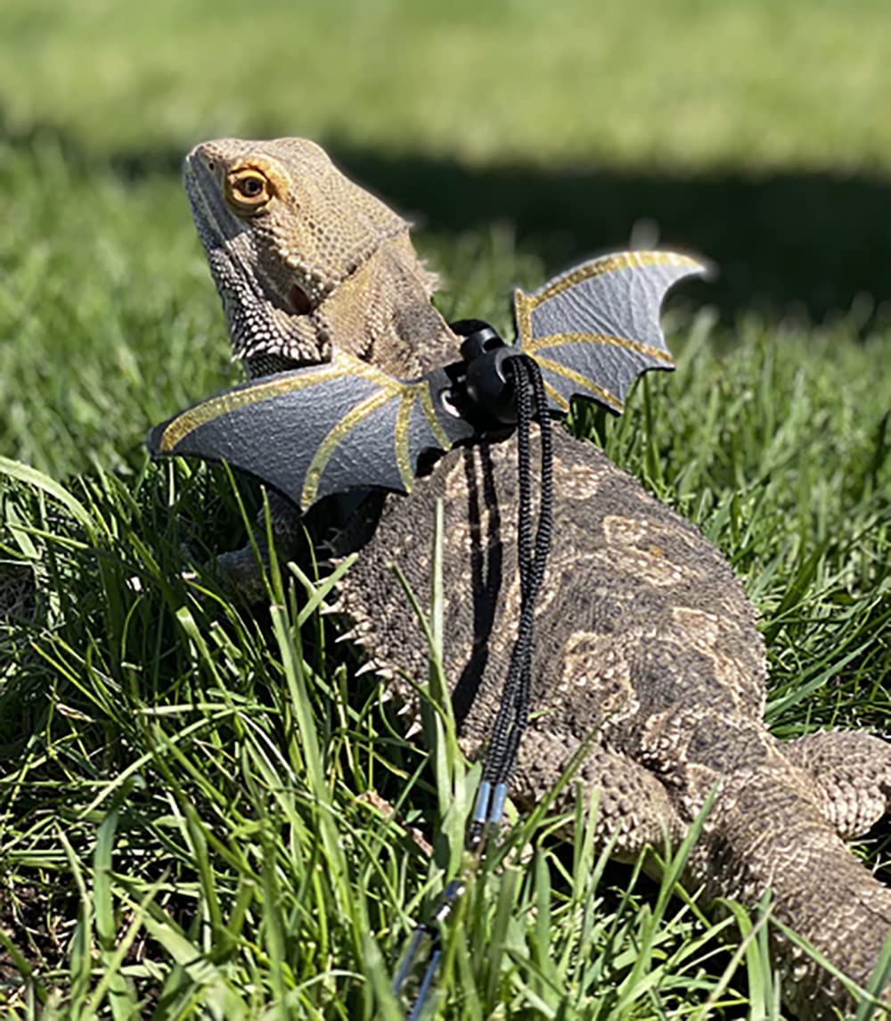 Adjustable Lizard Leash Bearded Dragon Harness Cool Leather Wings Safety Walking Leash(S,M,L,3Pack)