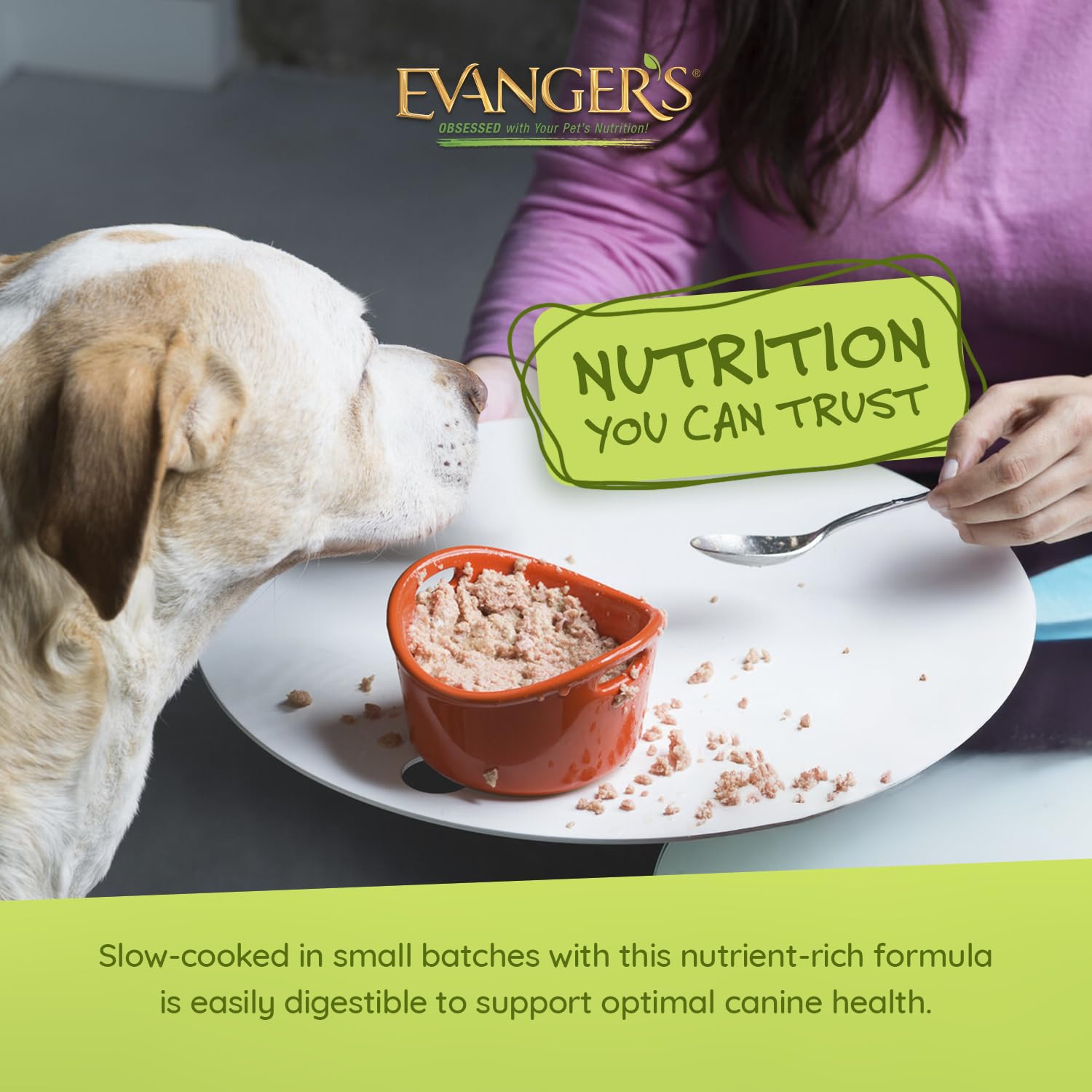 Evangers Super Premium for Dogs Cooked Chicken Dinner with Chunks, 12-Pack