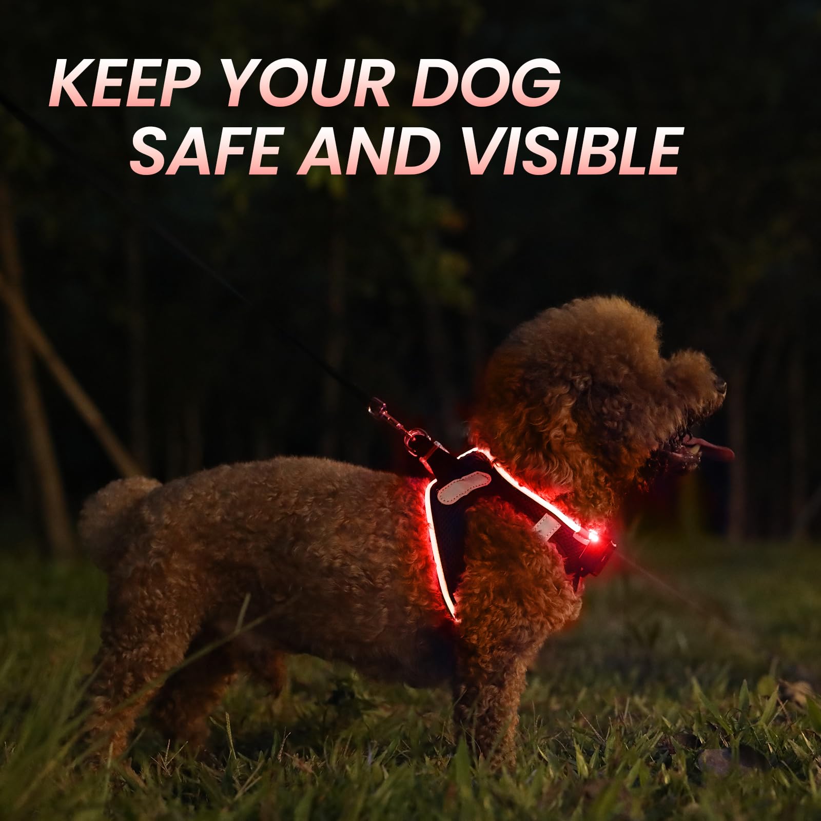 Pceotllar Light Up Dog Harness - Led, No Pull, Reflective, Flashing For Night Walking - Small/Medium Dogs (Red)