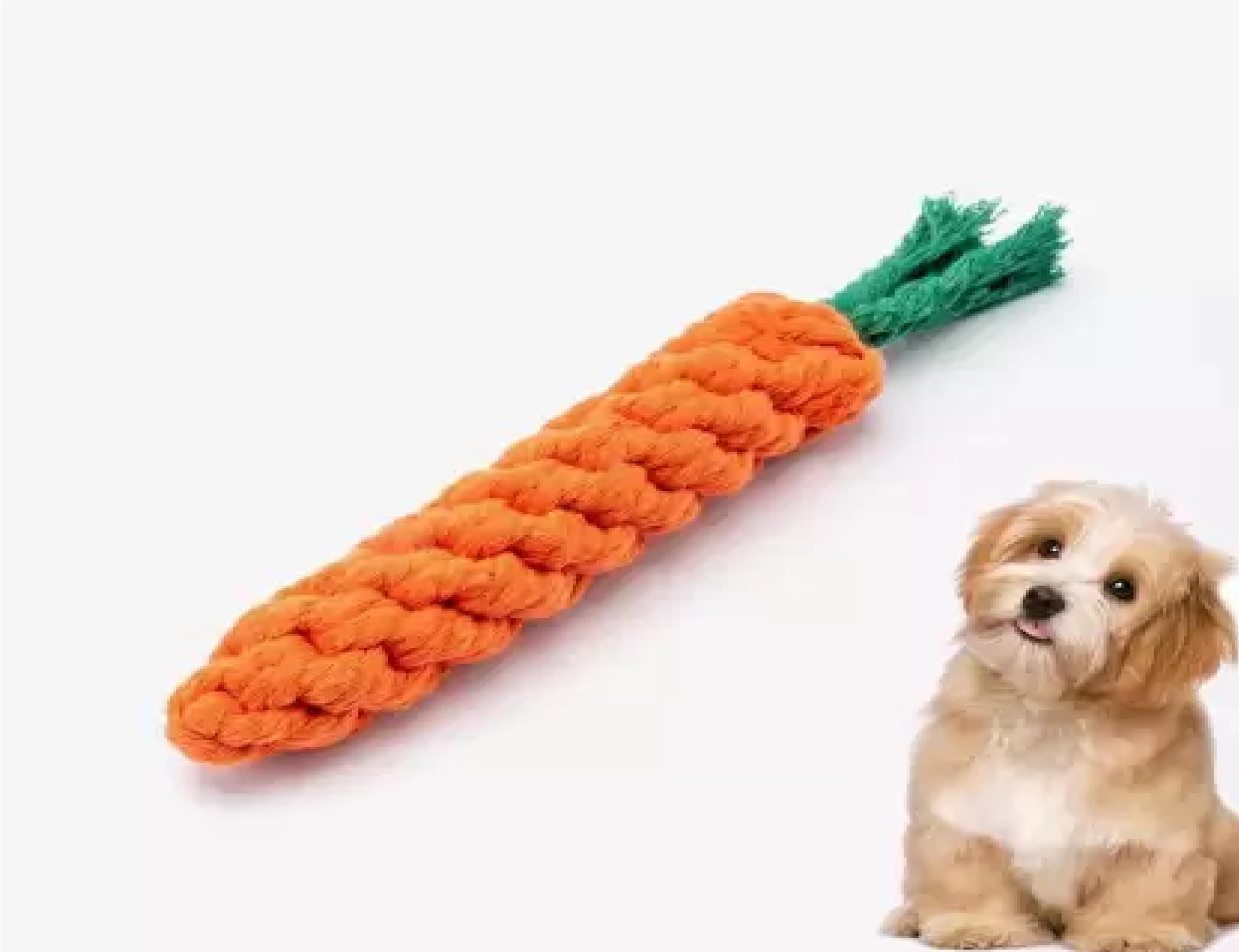 Rotz Dog Toys 1 Puppy Teething Chew Toys, Dog Chew Toys Rope Toys, Safe Braided Cotton Chew Toy, Soft Toy, Tug Toy For Dog & Cat