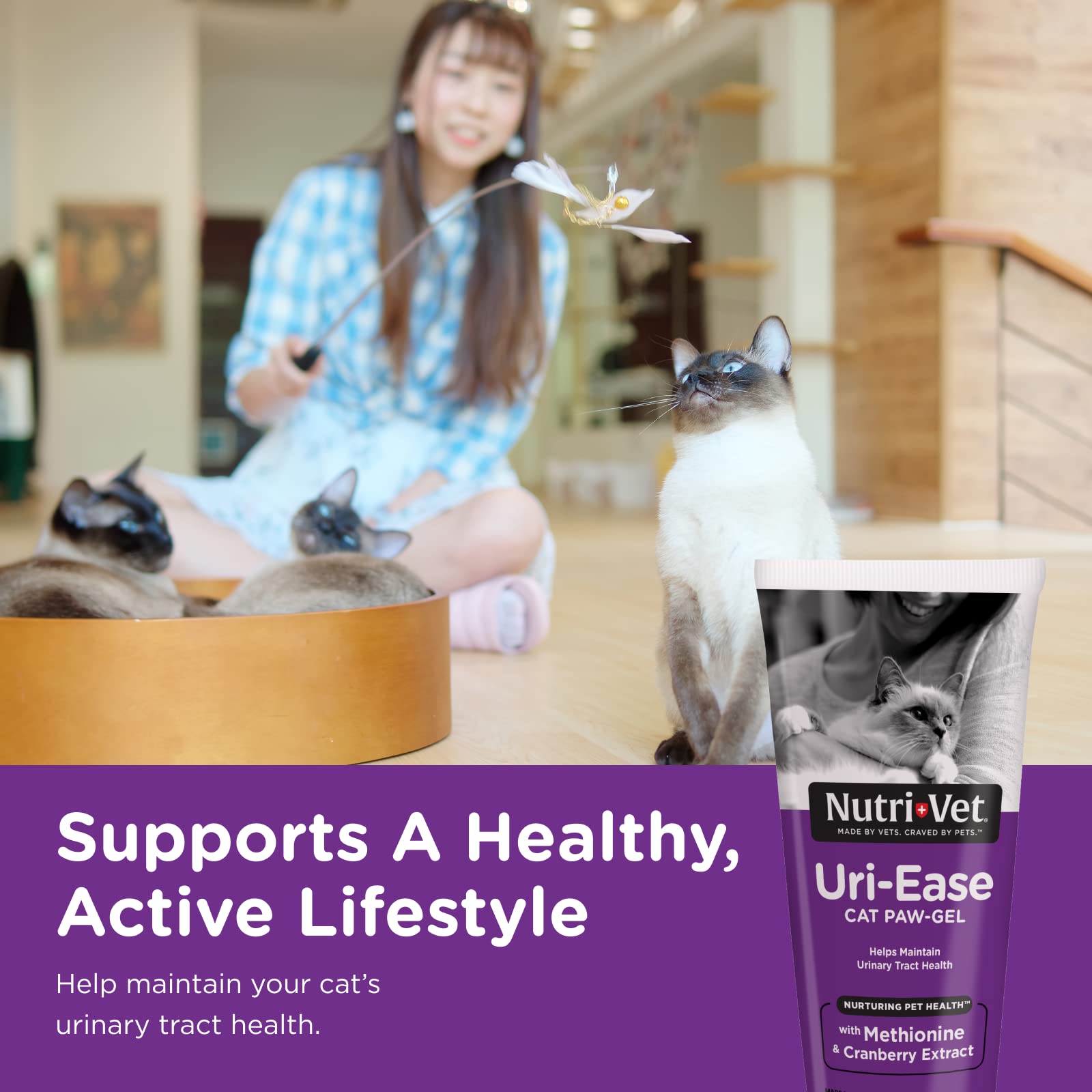 Nutri-Vet Uri-Ease Paw Gel for Cats, Salmon Flavor, 3 oz, Plastic, Model 99853-3