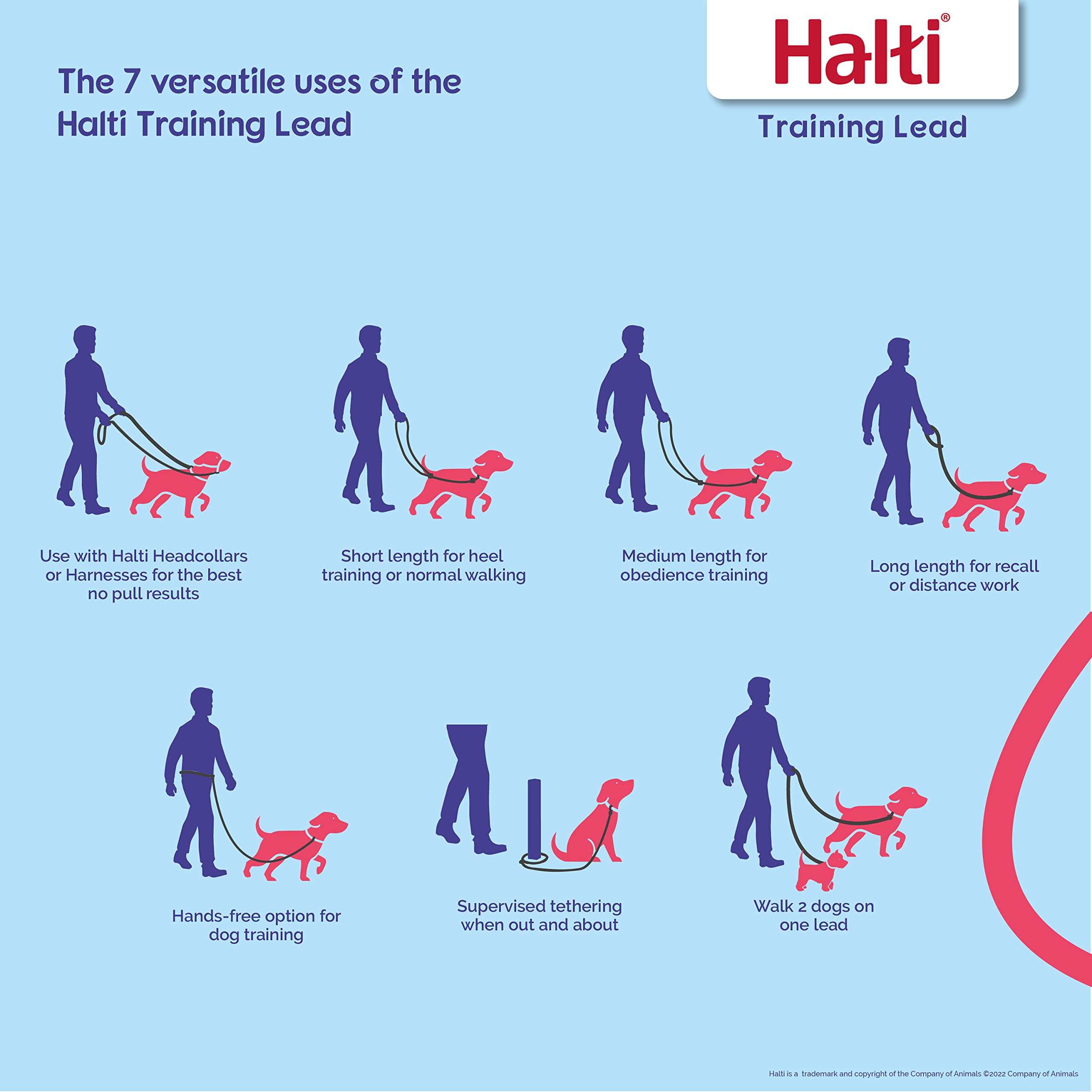 Halti No Pull Harness Size Medium & Halti Training Leash Size Large, Black Combination Pack - Stop Your Dog Pulling On The Leash. Adjustable, Lightweight And Easy To Use. Suitable For Medium Dogs
