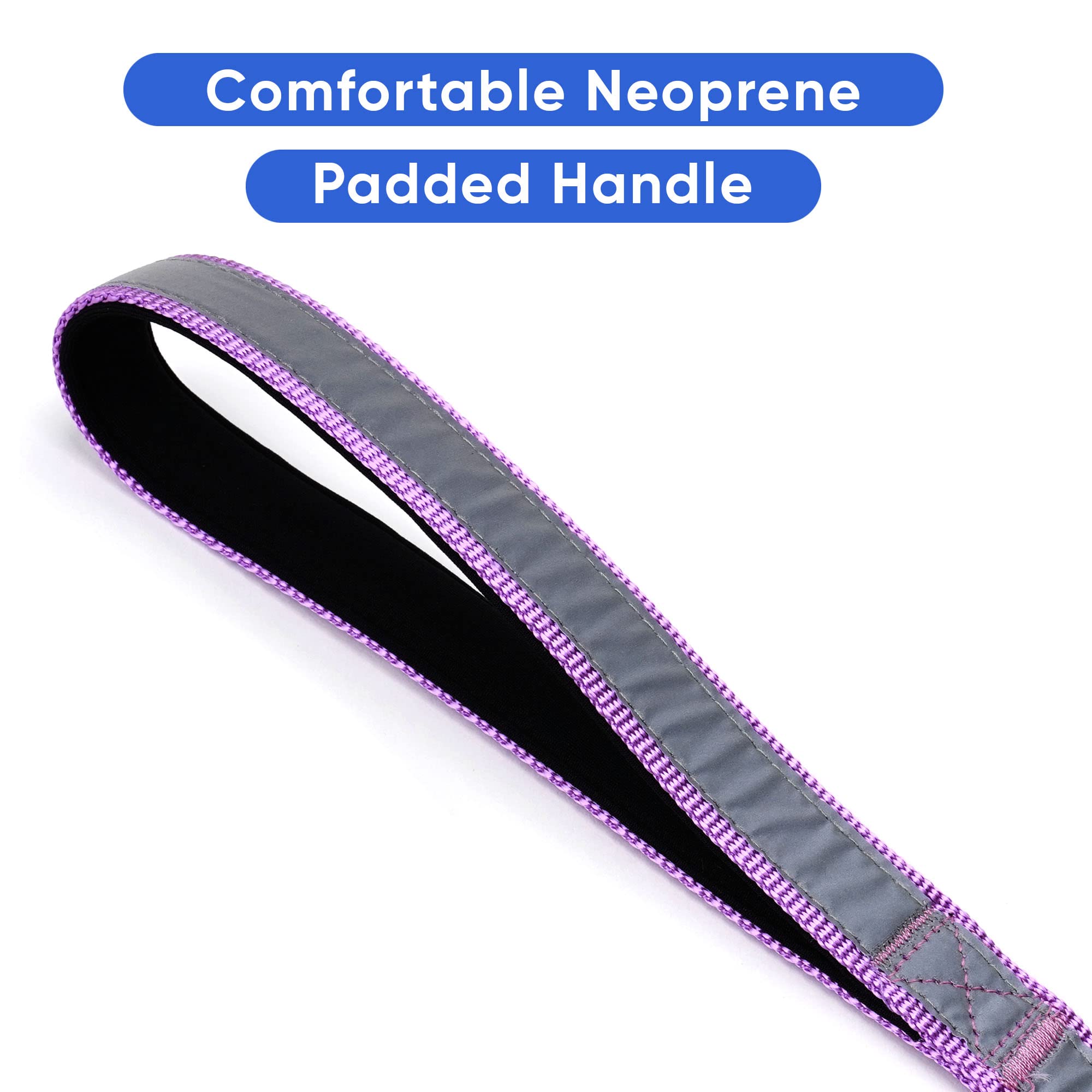 Pawtitas 6 Ft Padded Dog Leash With Comfortable Neoprene Padding Handle - Purple Lead | Medium Reflective Dog Leash With Highly Reflective Band Perfect For Medium And Large Dogs And Puppies.