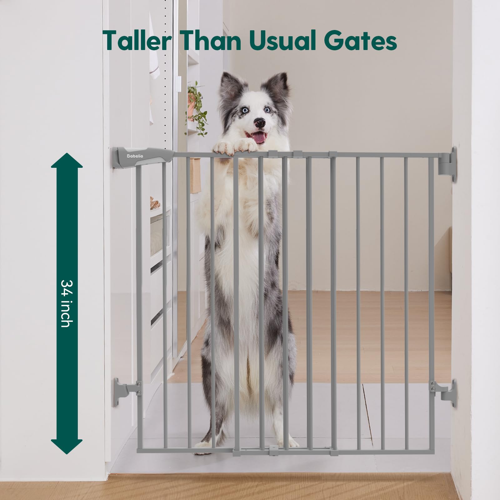 Babelio 34 Extra Tall Baby/Dog Gate with No Threshold Design Walk Thru Door, 26-43 Auto Close Safety Gate for Babies, Elders and