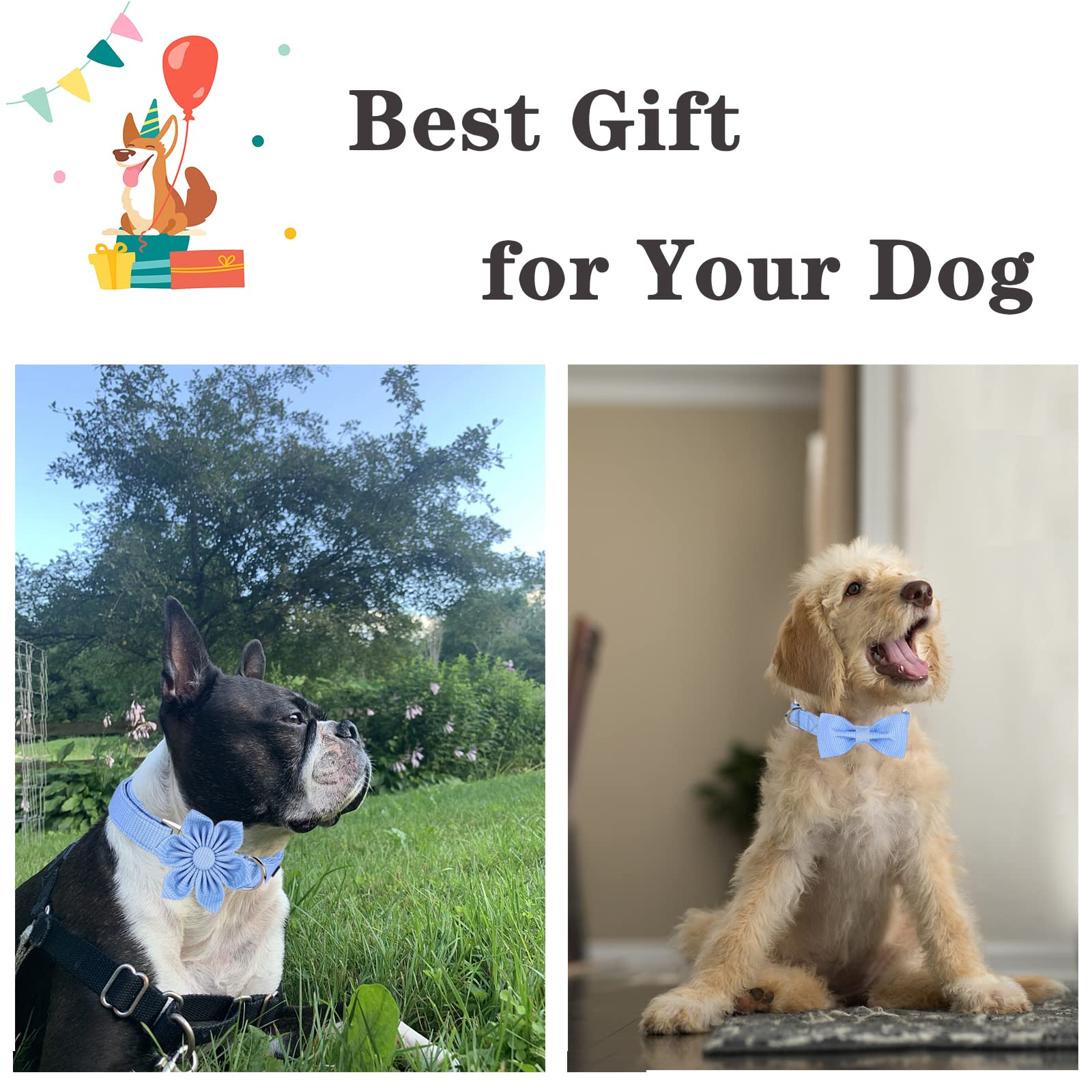 Unique Style Paws Dog Collar With Flower Tie Blue Dot Summer Dog Collar For Small Medium Large Dogs With Adjustable Metal Buckle -Xl