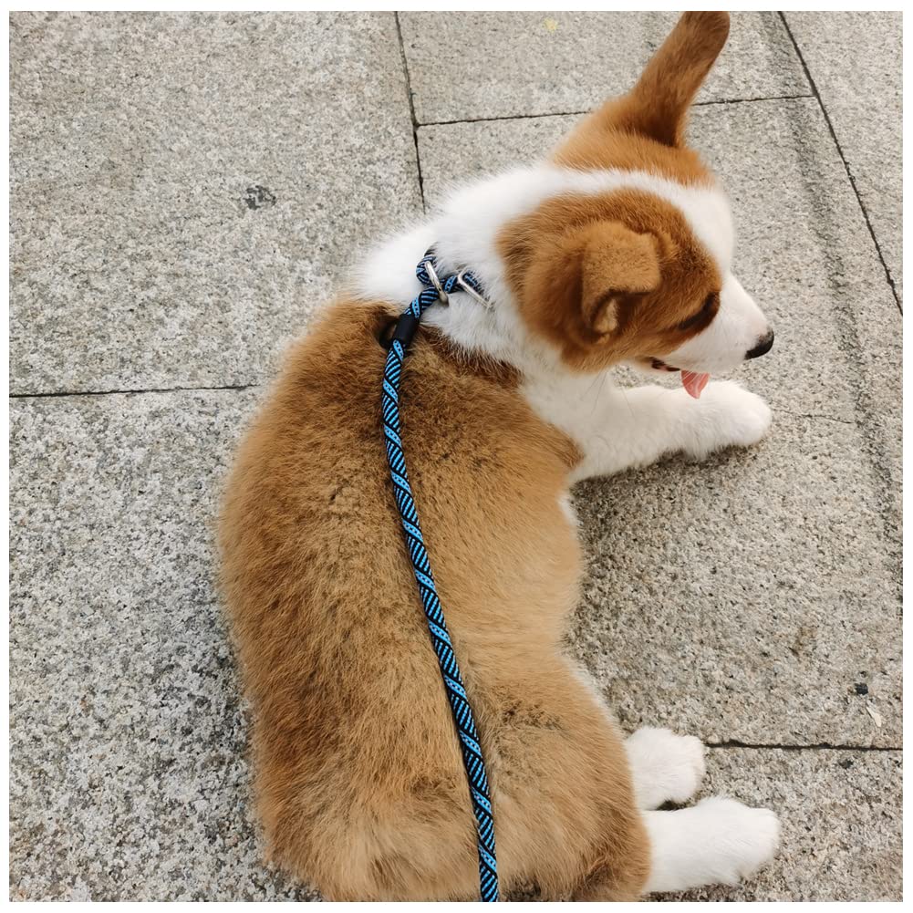 Sepxufore Long Slip Lead Dog Leash Reflective Anti-Choking 12 Ft/20 Ft/30 Ft/50 Ft Rope Training Leash For Medium Dogs Small Puppy Pets (50Ft, Blue)