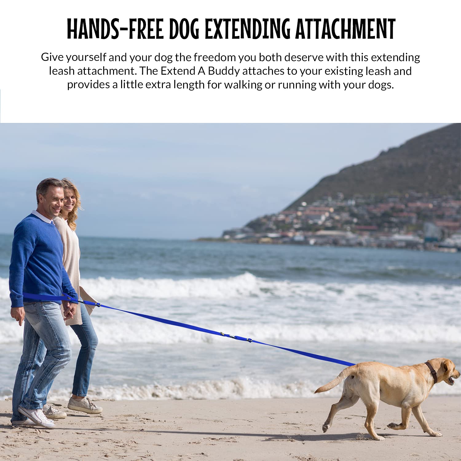 The Buddy System Accessories For Our Dog Leashes Made In Usa (Extender, Regular Dog Blue)