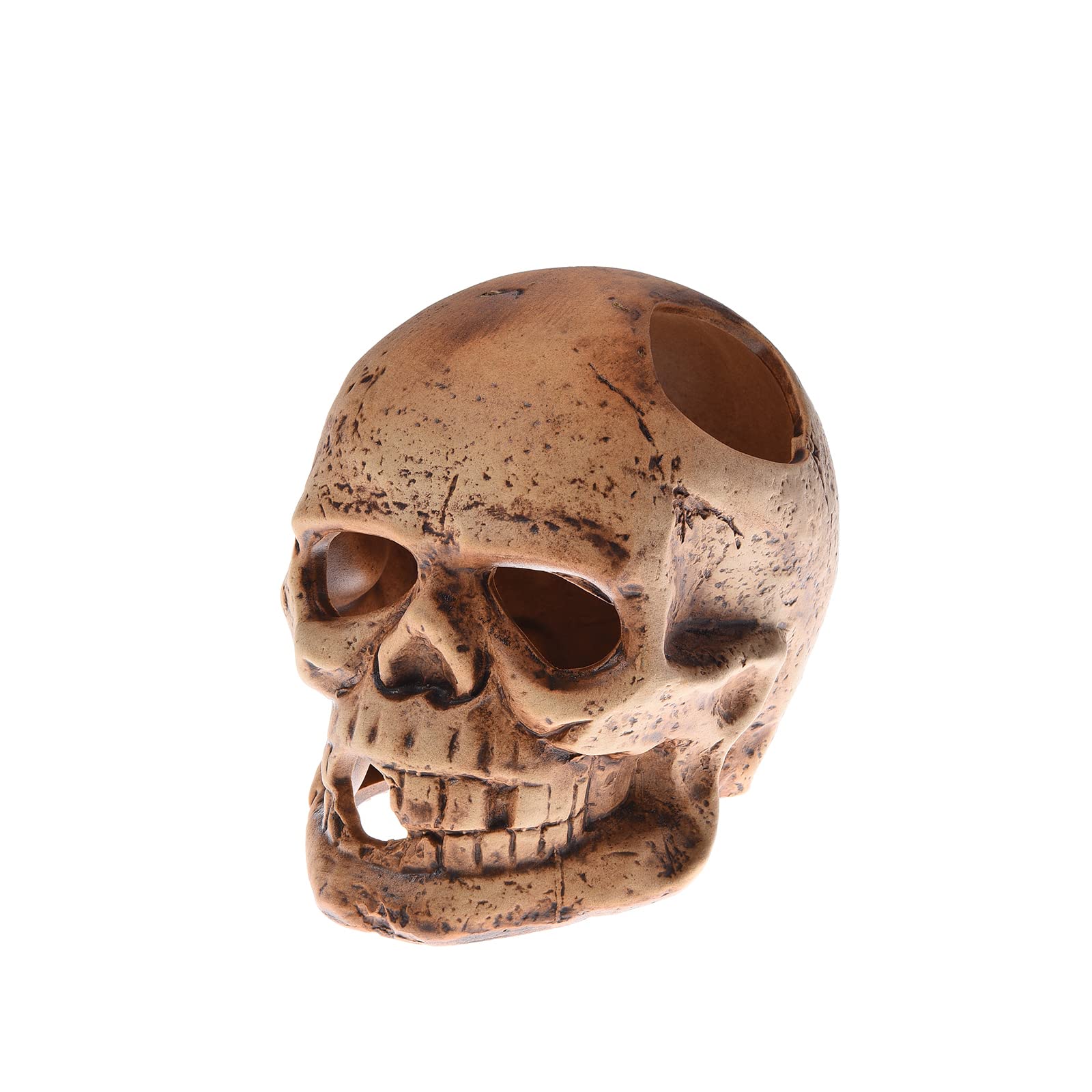 Alegi Aquarium Decoration Hideaway Rock Cave For Betta Shrimp Cichlid Hiding Breeding Spawning (Ceramic Skull)
