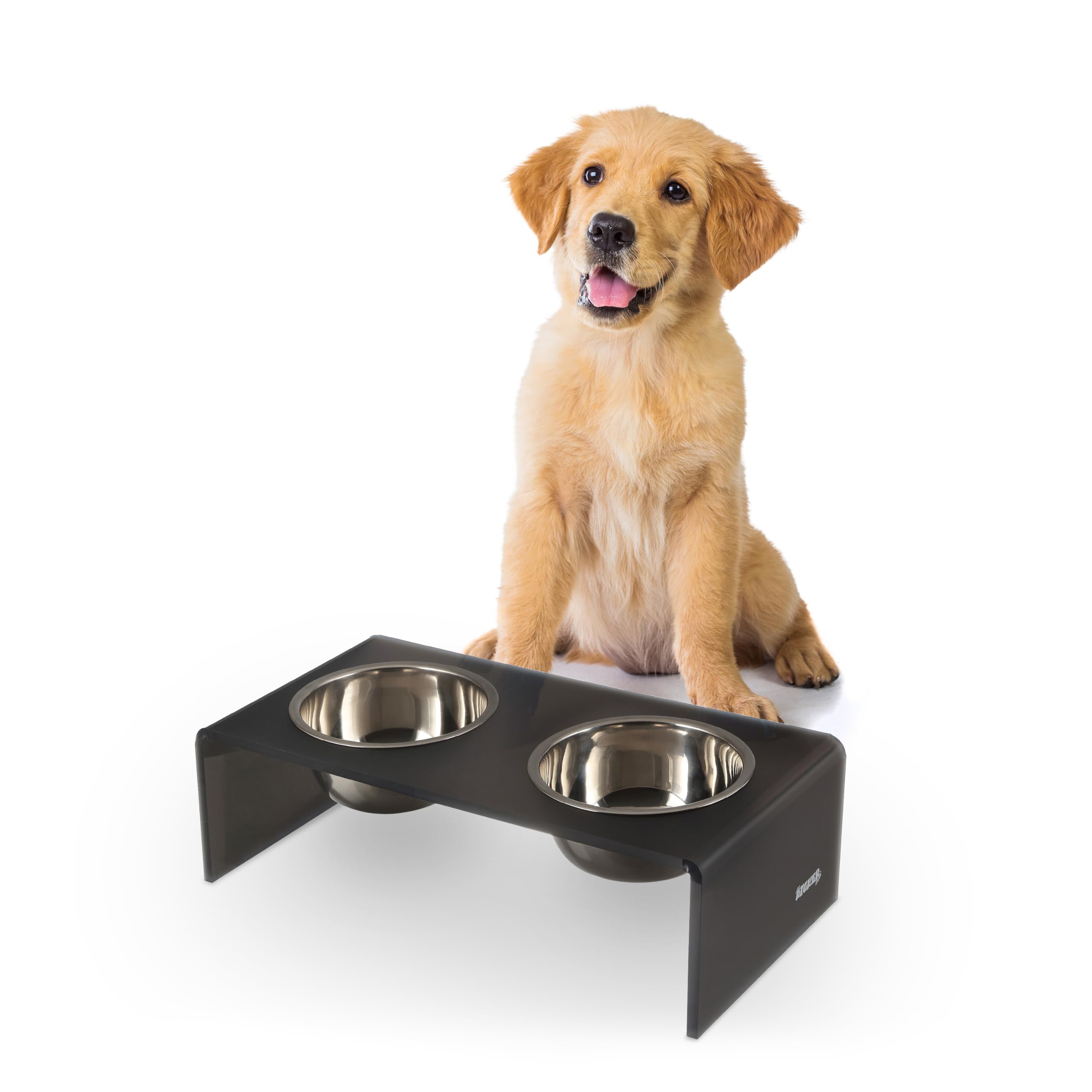 The LICKER Store DBL2000J Keaton 5 Small/Medium Modern Acrylic Rectangular Elevated Pet Feeder with 20oz 2-Stainless Steel Bowls