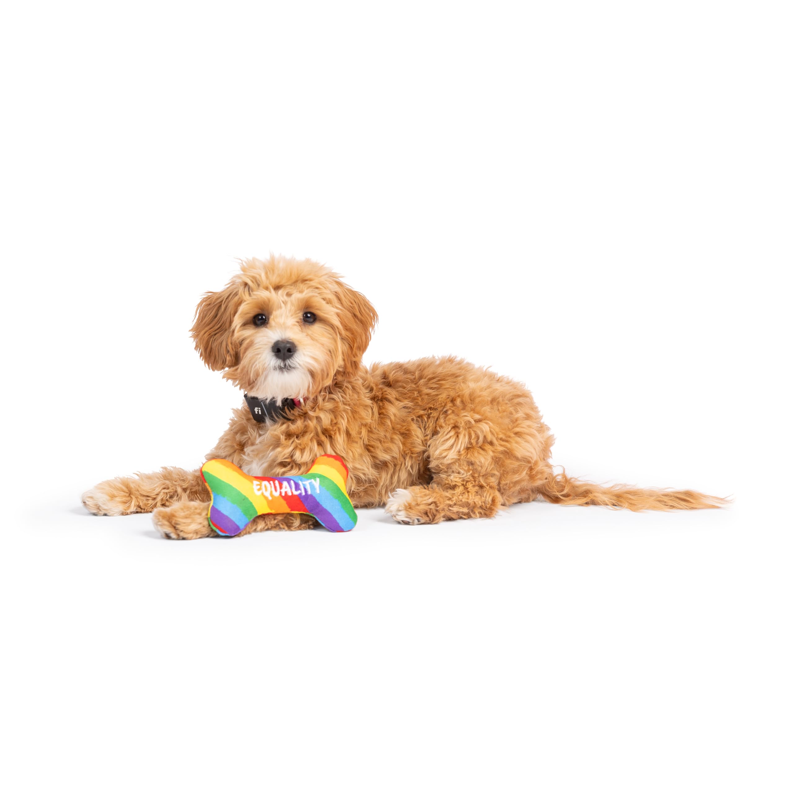Huxley & Kent Funny Dog Toy - Squeaky Plush Equality Bone for Small Dogs, One Size, Rainbow, Durable Polyester, Model HK70068