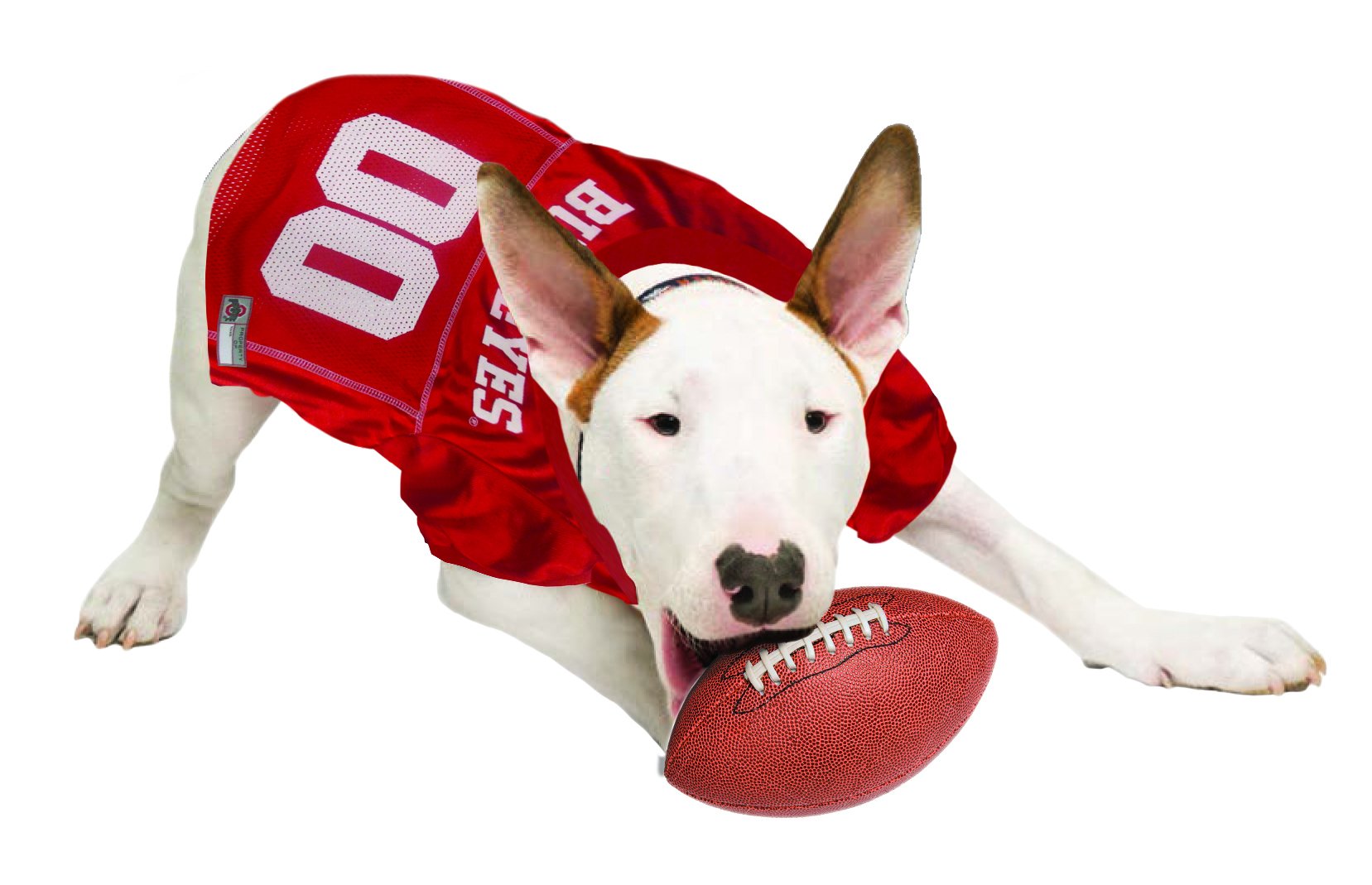 Pets First NCAA College Ohio State Buckeyes Mesh Jersey for DOGS & CATS, X-Large. Licensed Dog Jersey with your Favorite Footbal