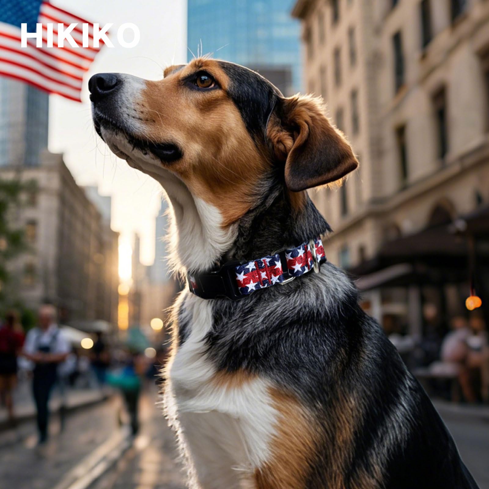 Hikiko American Flag Martingale Collar With Buckle Adjustable Soft Nylon Dog Collars For Small Medium Large Dog (Star,Large)