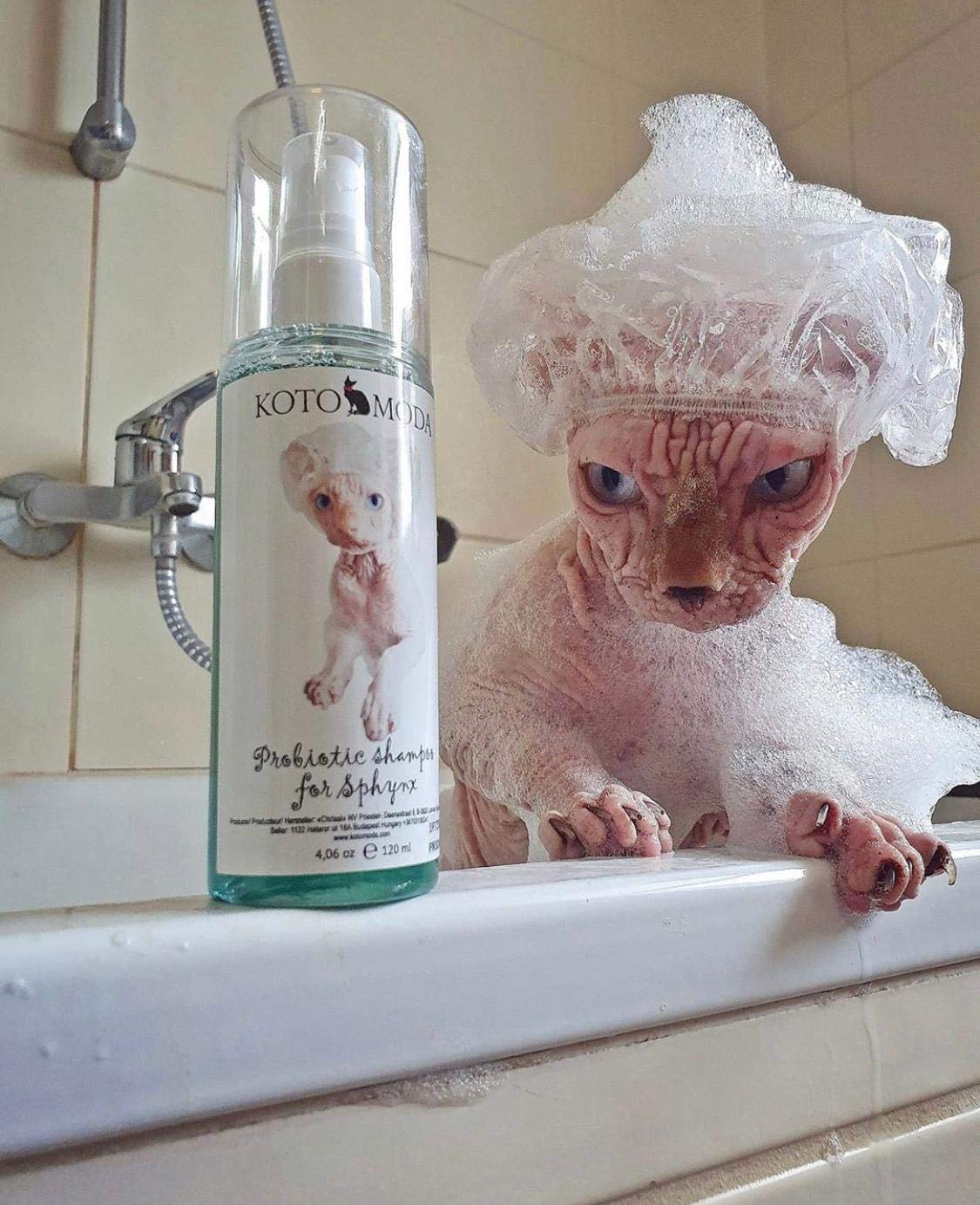 Kotomoda Sphynx Cat Shampoo - 120 ml Foam Pump for Naked & Hairless Cats