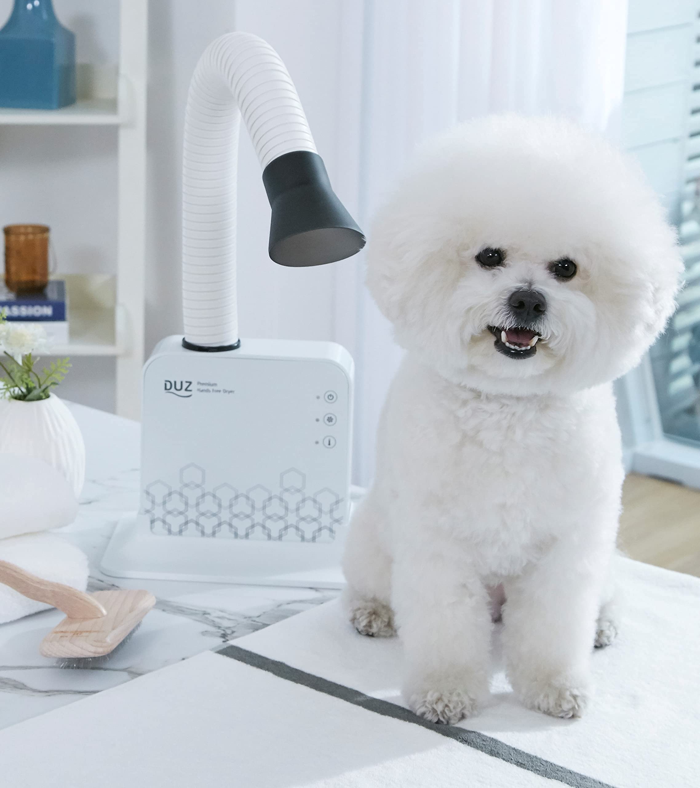 DUZ V2 Super Quiet Pet Dryer - Low-Noise Dog & Cat Grooming Tool, Medium Size, White, Model iMD-1000T, 1-Year Warranty