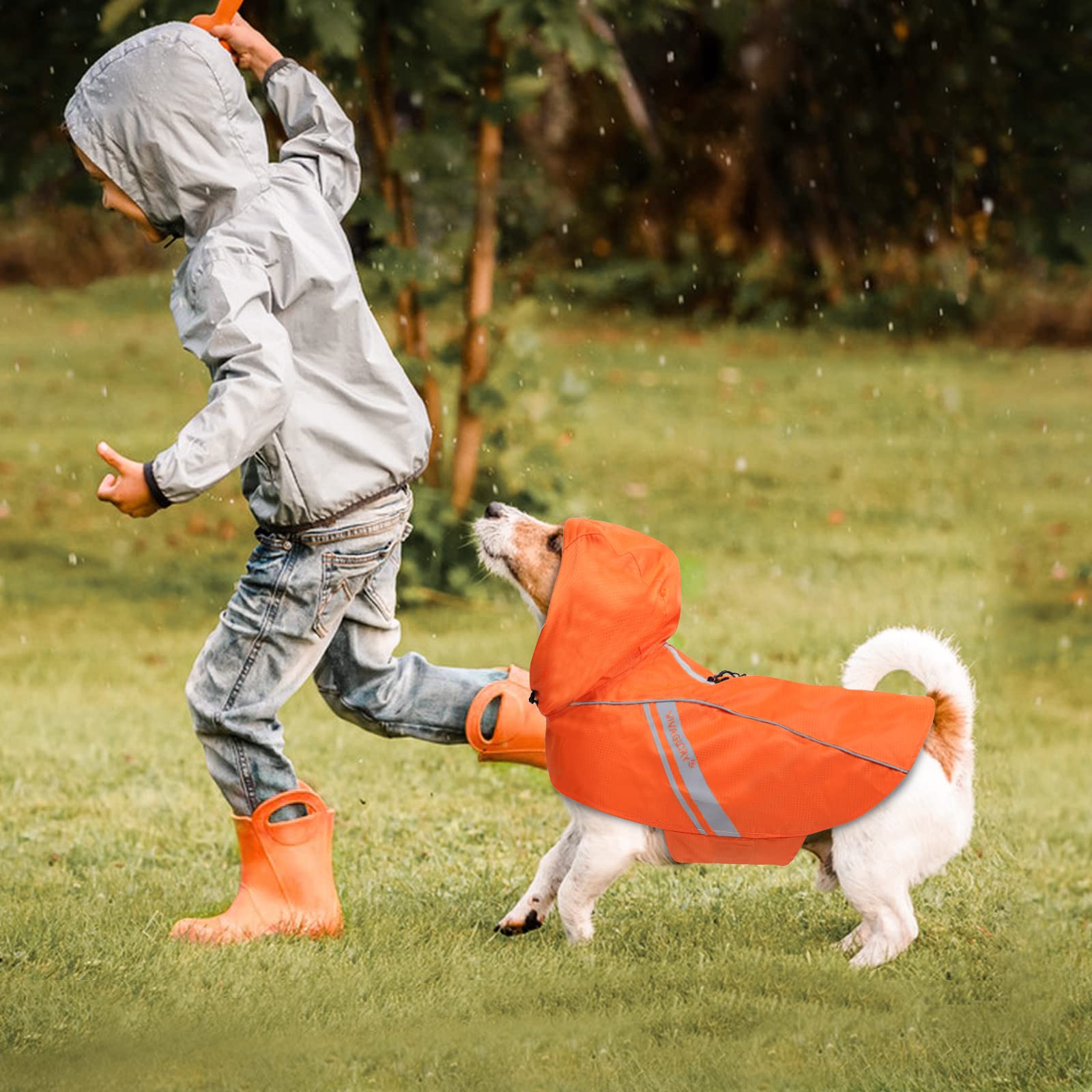Vivaglory Dog Raincoat for Medium Dogs, Orange, Lightweight, Reflective, Easy On & Off, M (22"-26" Chest Girth)