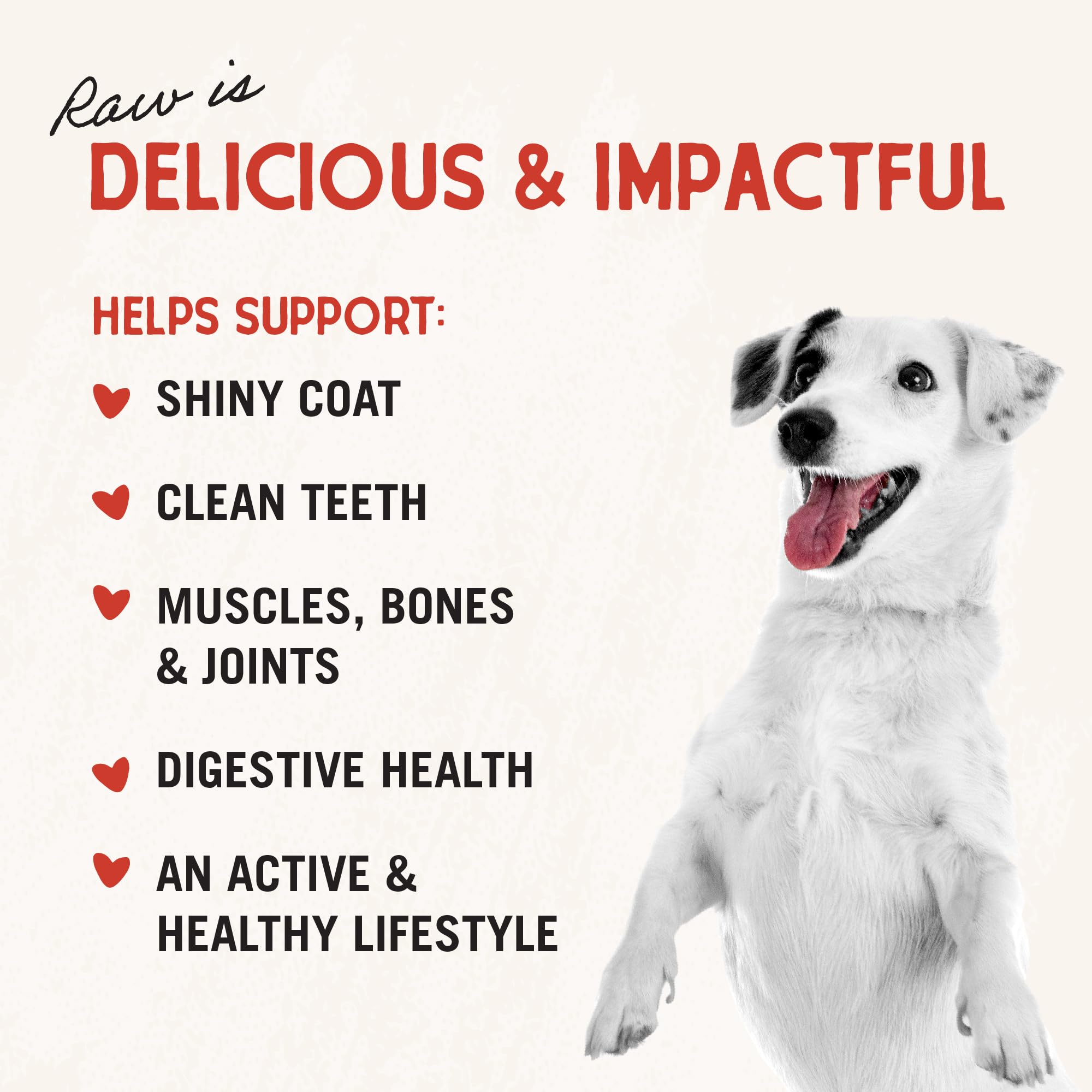 Stella & Chewys Freeze Dried Raw Surf & Turf Meal Mixer - Dog Food Topper for Small & Large Breeds - Grain Free, Protein Rich R