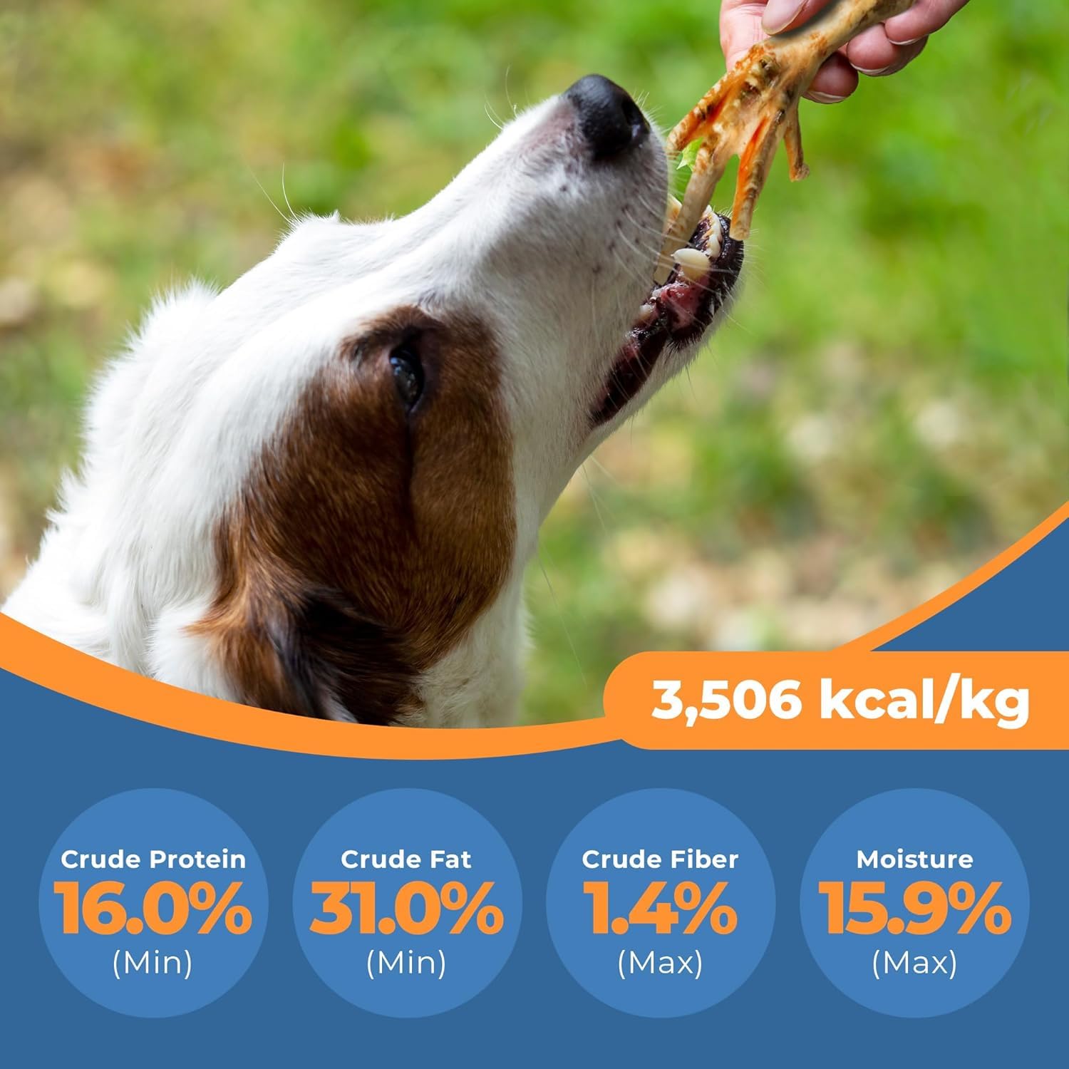 K9warehouse - Chicken Feet for Dogs - All Natural, Nutritious Dog Treat - Healthy, Dried, Dehydrated Chicken Feet Treats for Dog