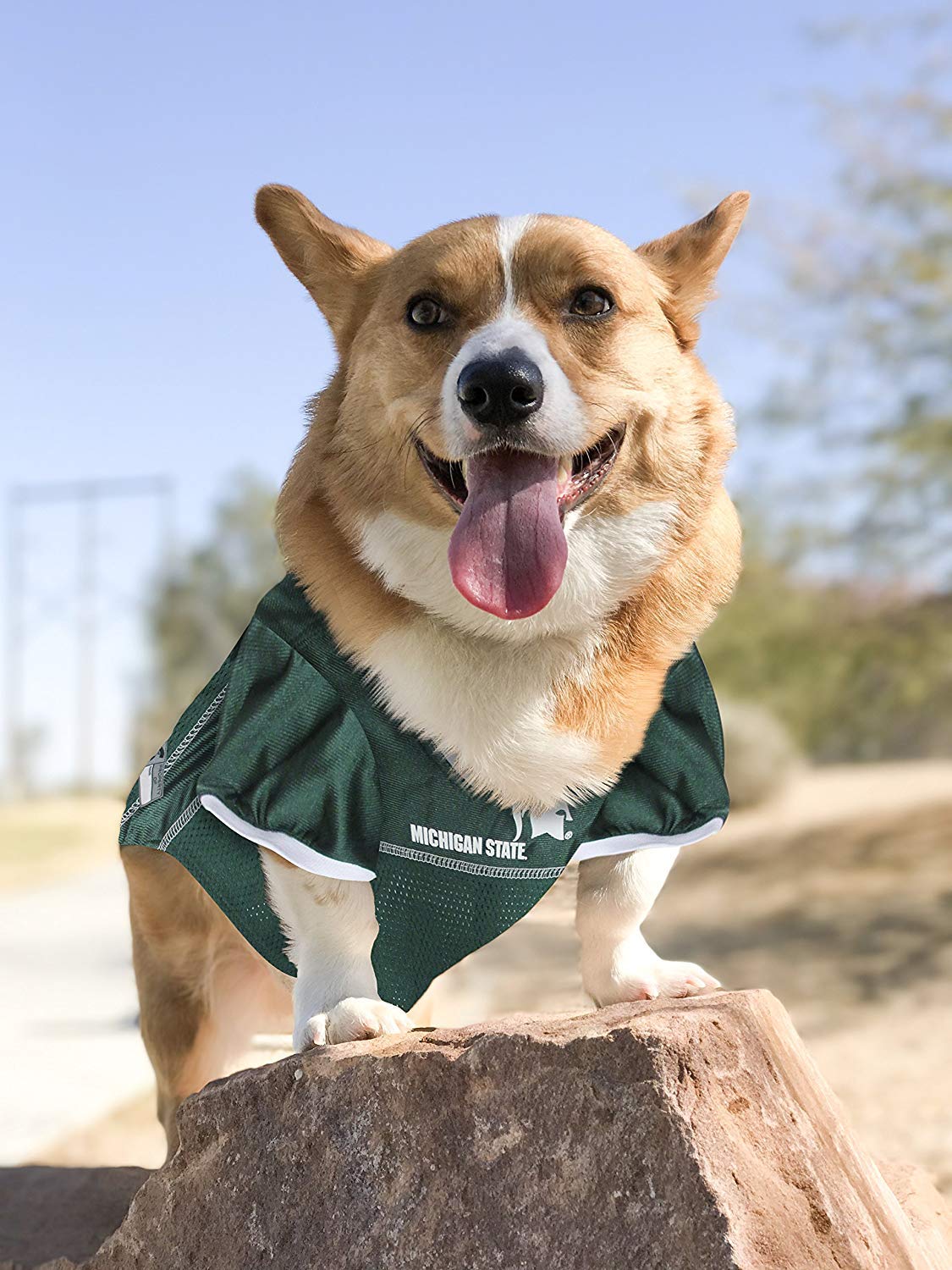 Pets First NCAA College Michigan State Spartans Mesh Jersey for DOGS & CATS, X-Large. Licensed Dog Jersey with your Favorite Foo