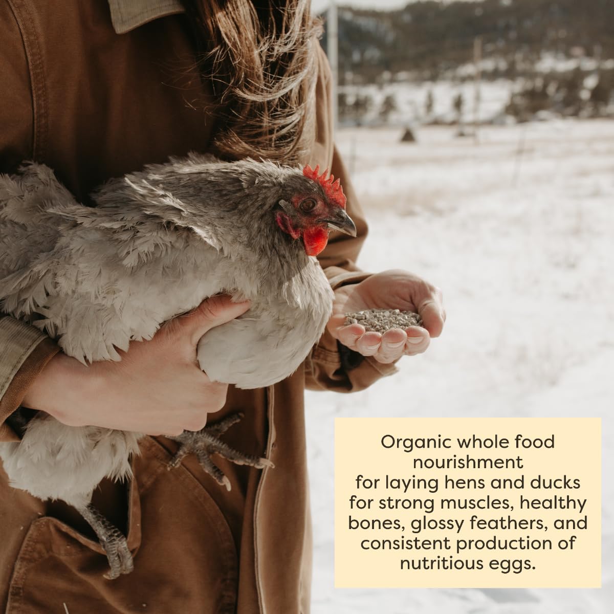 Scratch and Peck Whole Grain Layer Pellets Chicken and Duck Feed - 25 lbs Bag - Corn-Free and Soy-Free - 16% Protein, Certified