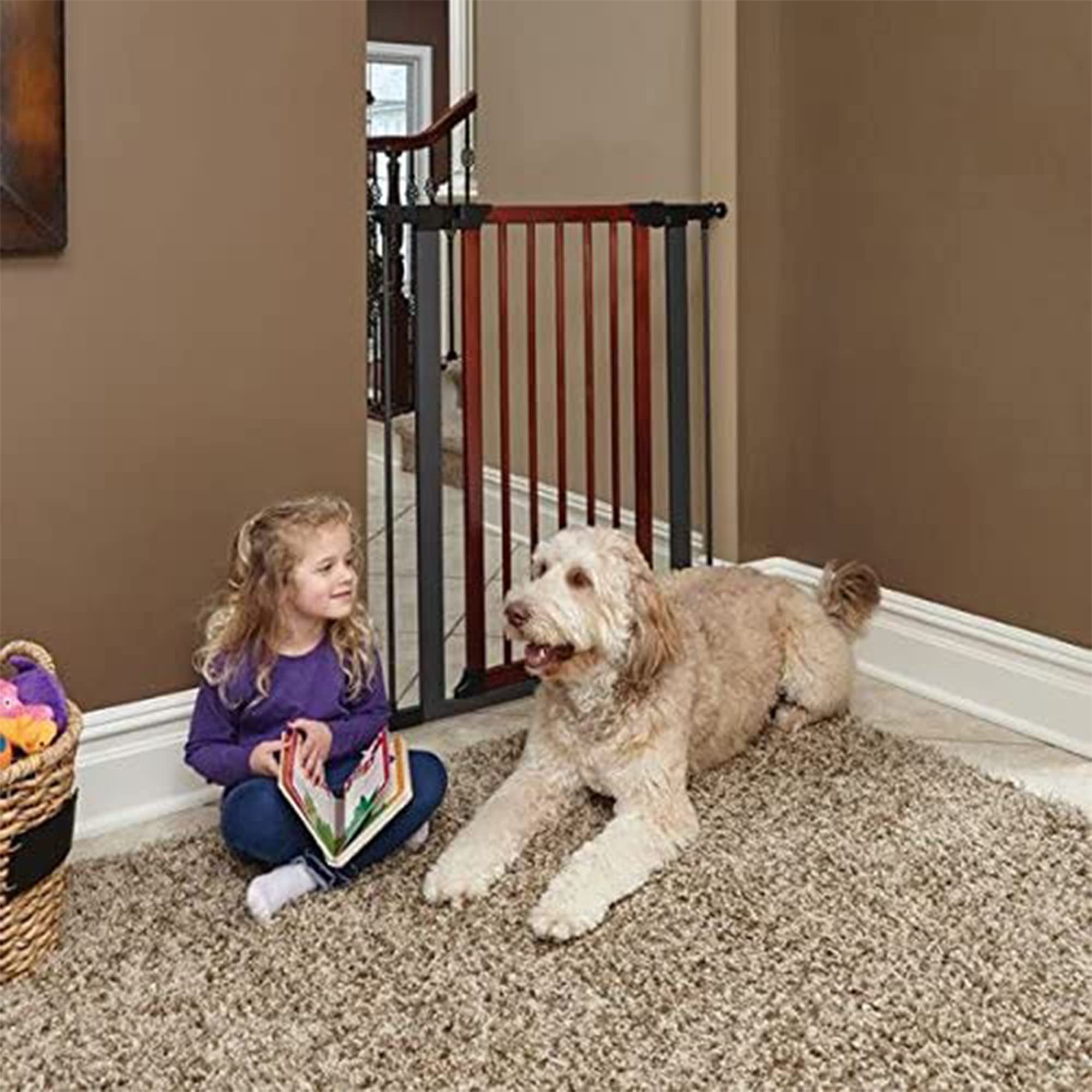 MidWest Homes for Pets 39-Inch Tall Pet Gate with Textured Graphite Frame and Decorative Wood Door, Expands to 38 Inches Wide, I
