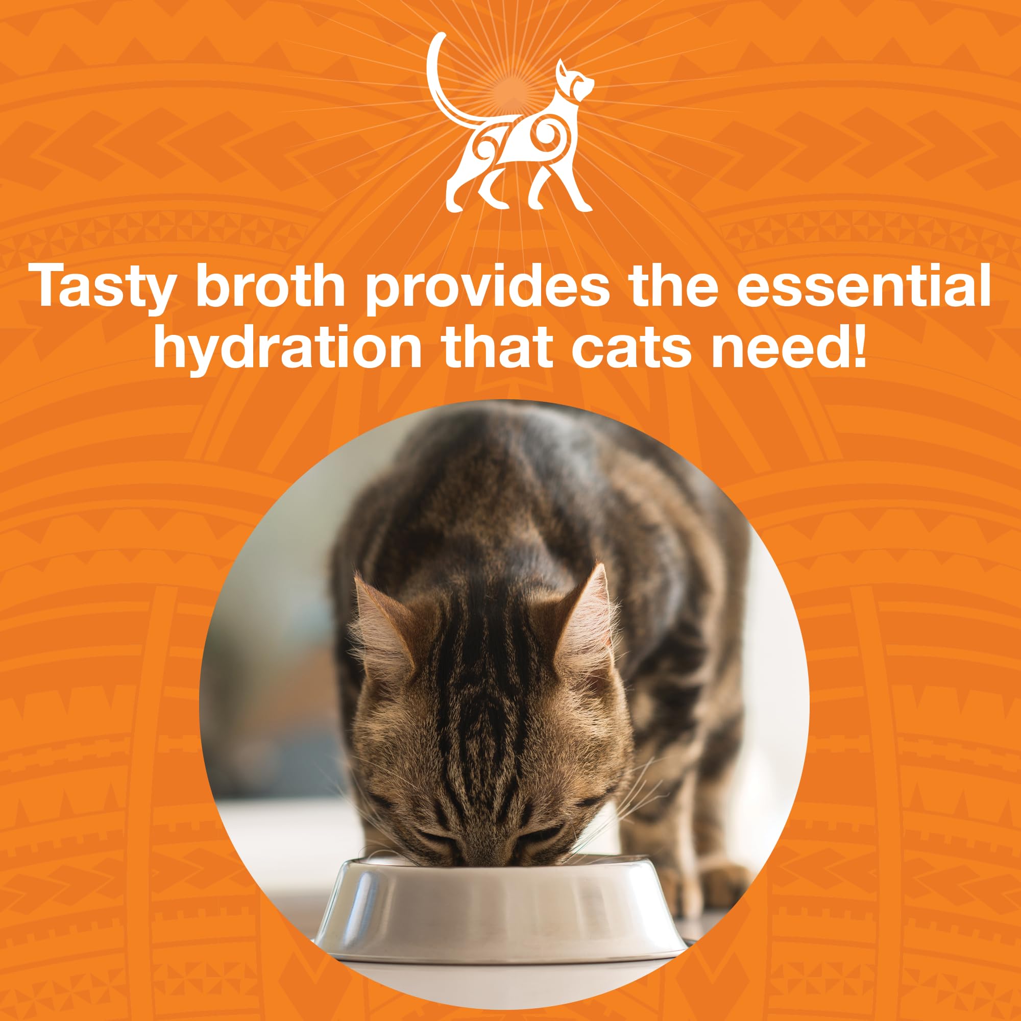 KOHA Pure Shreds Chicken Entr  e for Cats, High Protein Wet Cat Food, 5.5oz Cans (Pack of 12)