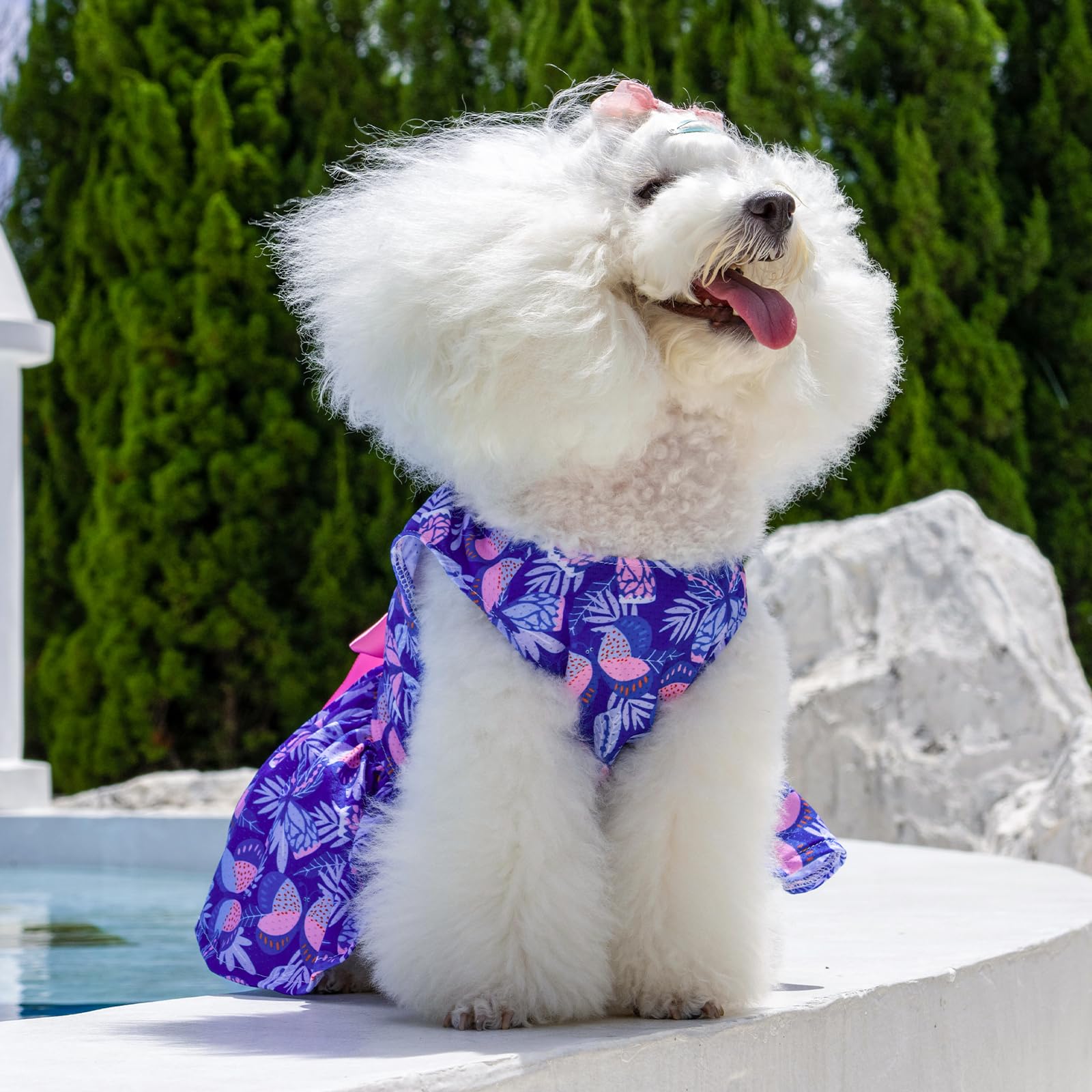 Cutebone Dog Mesh Dress Puppy Sundress Pet Outfit Summer Fashion For Small Dogs Girl Cat Clothes Bf25Xxs