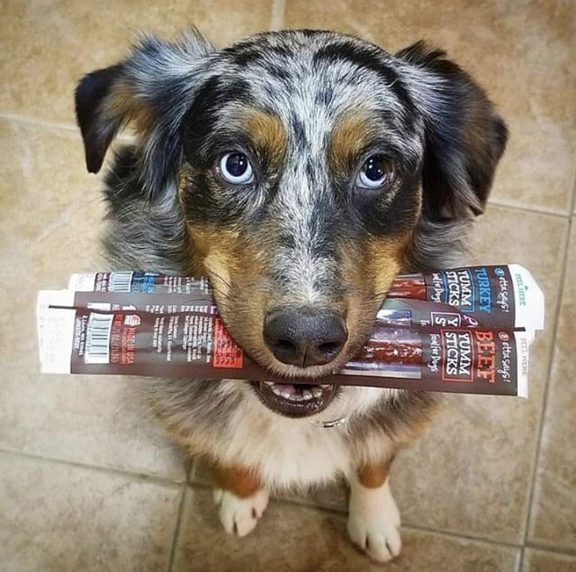 ETTA SAYS! Yumm Chicken Meat Sticks for Dogs, 12 Count, Human Grade, No Hormones, Gluten-Free, Made in the USA