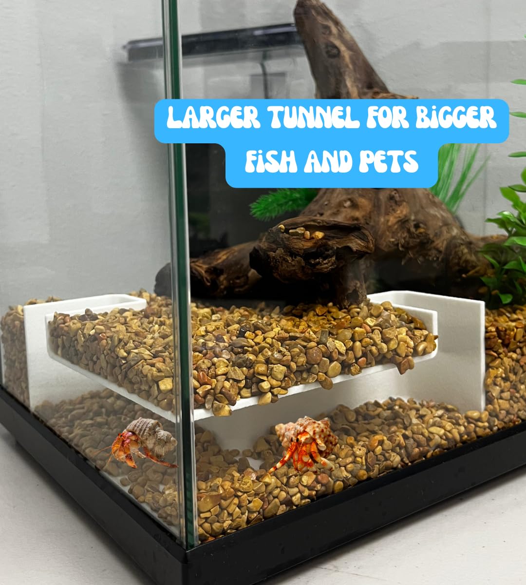 Chatelet Aquarium Underground Xl Corner Tunnel | Fish & Shrimp Hideout For Aquariums | Unique Underground Viewing Tunnel | Made In Usa (Xl Corner, White)