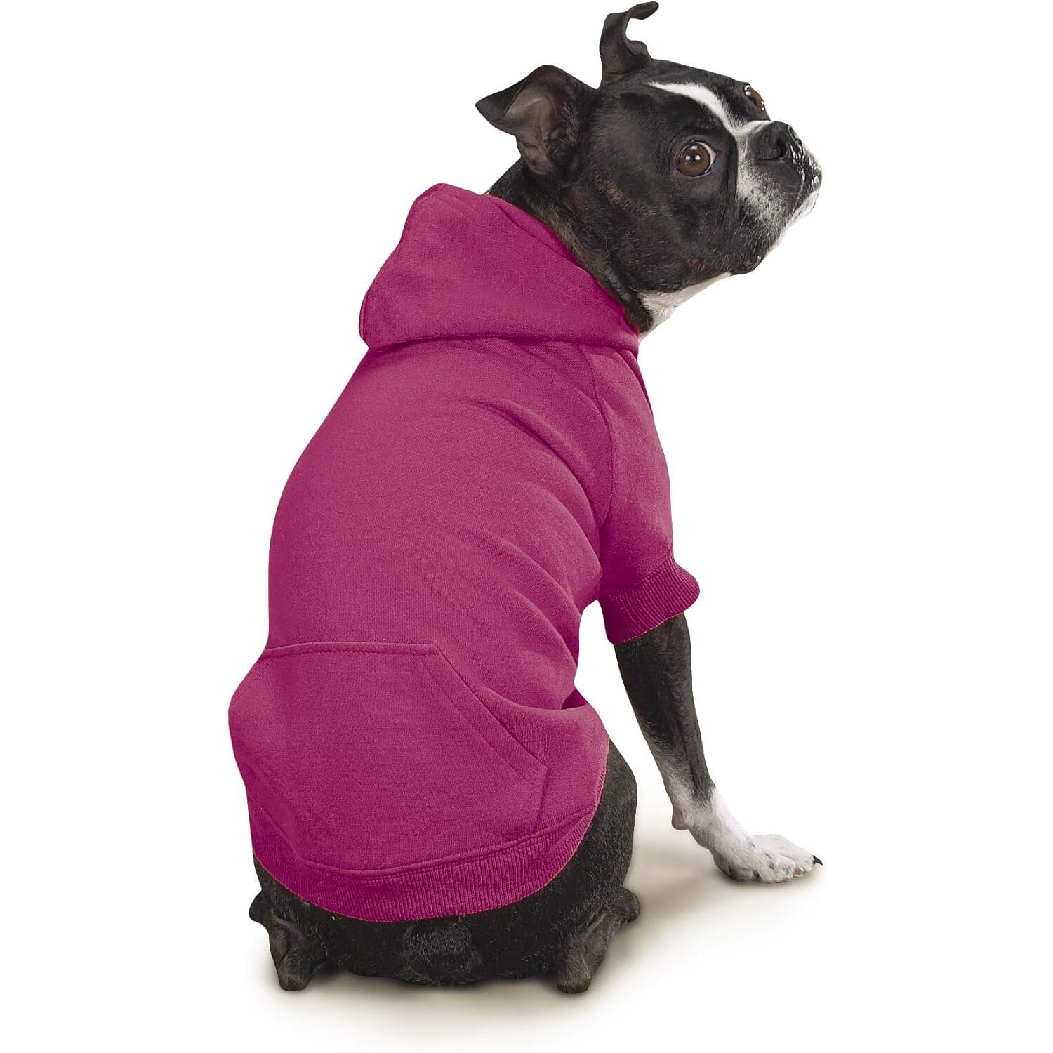 Zack & Zoey Basic Hoodie For Dogs, 16' Medium, Raspberry Sorbet