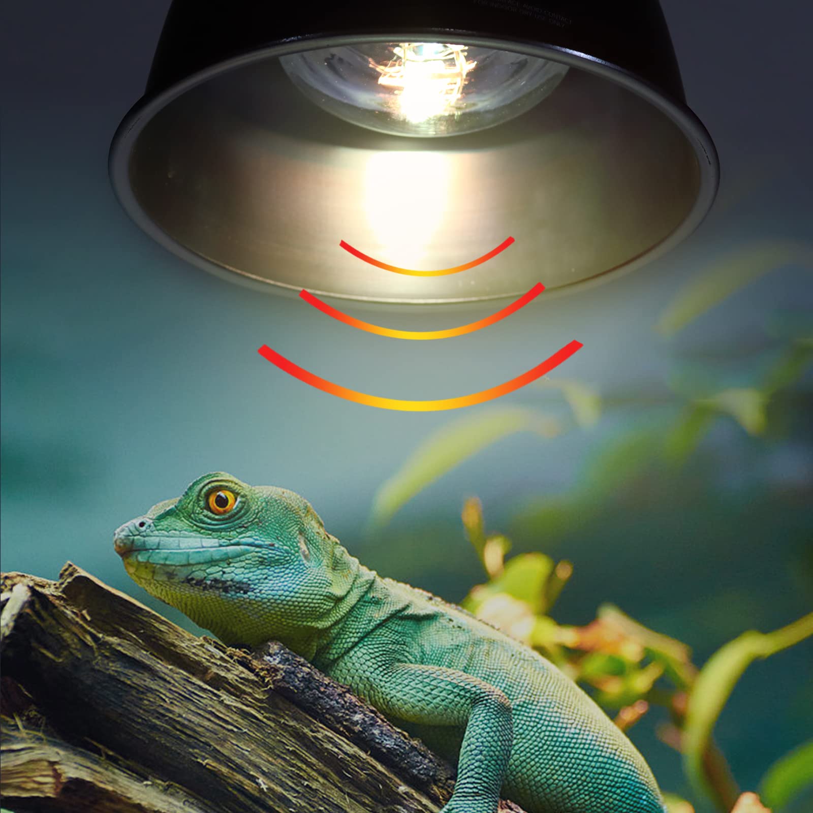 Aiicioo Uvb Reptile Light 80W - Uvb Light Bulb For Reptile Mercucry Vapor Bulb Heat Basking Lamp Bulb Full Spectrum Uva Uvb All