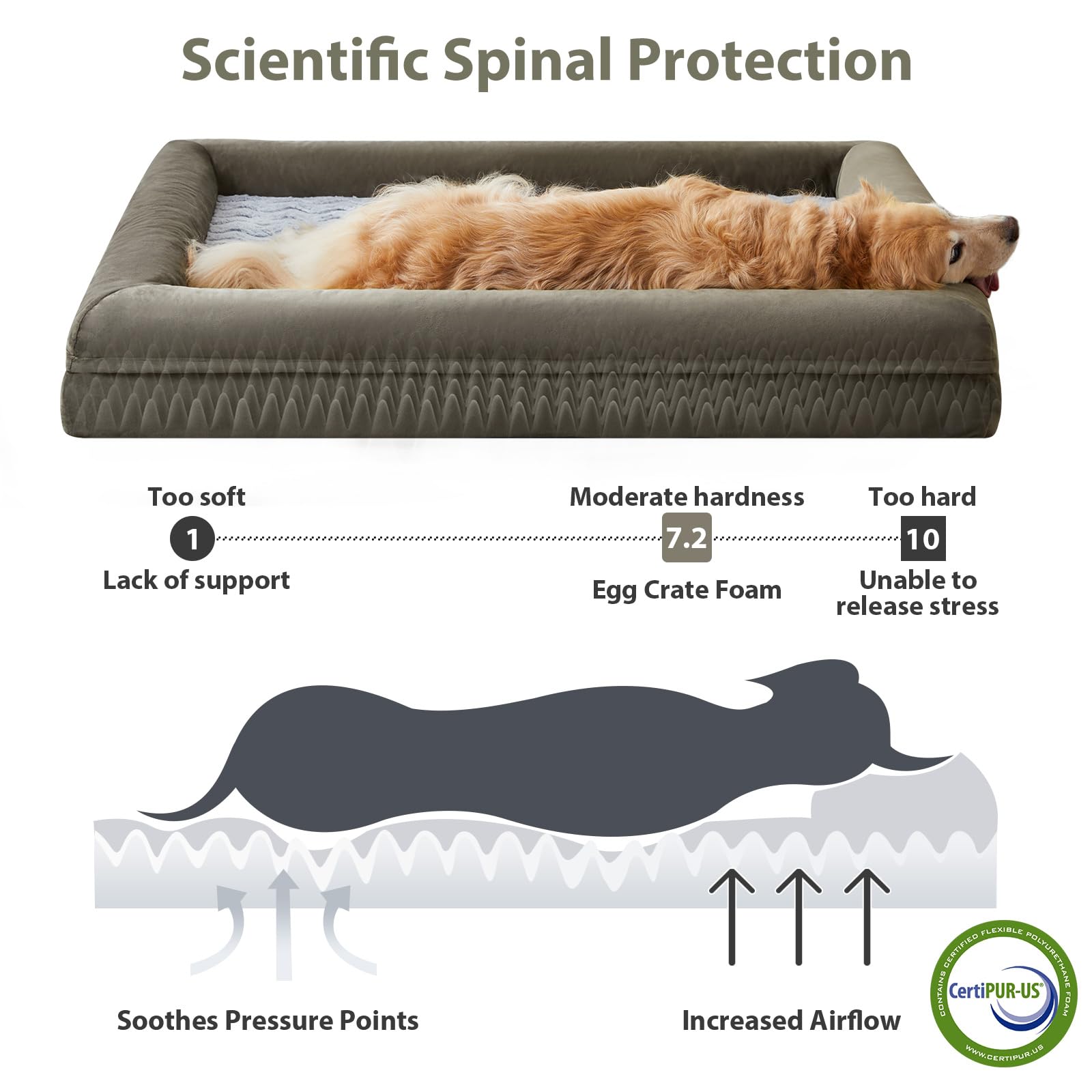 Wnpethome Washable Dog Beds Large Sized Dog, Xxxxl Pet Couch, Orthopedic Pet Sofa Bed With Removable & Waterproof Cover