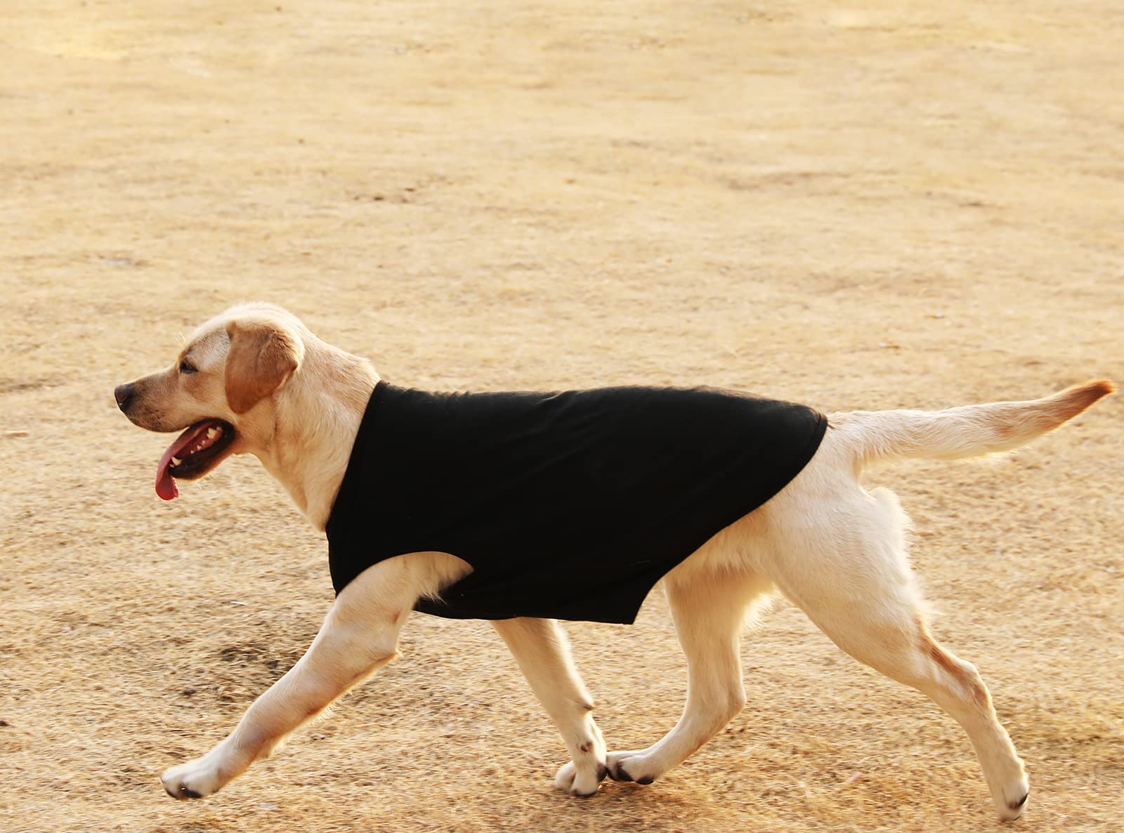 Sychien Dog Blank Cotton Shirts,Plain Dogs Large Clothes,Boy Girl Pet Costumes,Army & Deep Green Xl