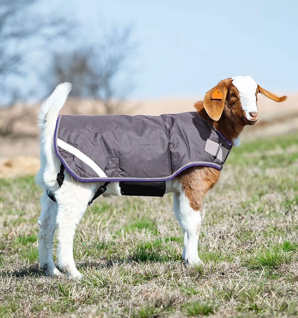 Horseware Goat Coat (100g Light)