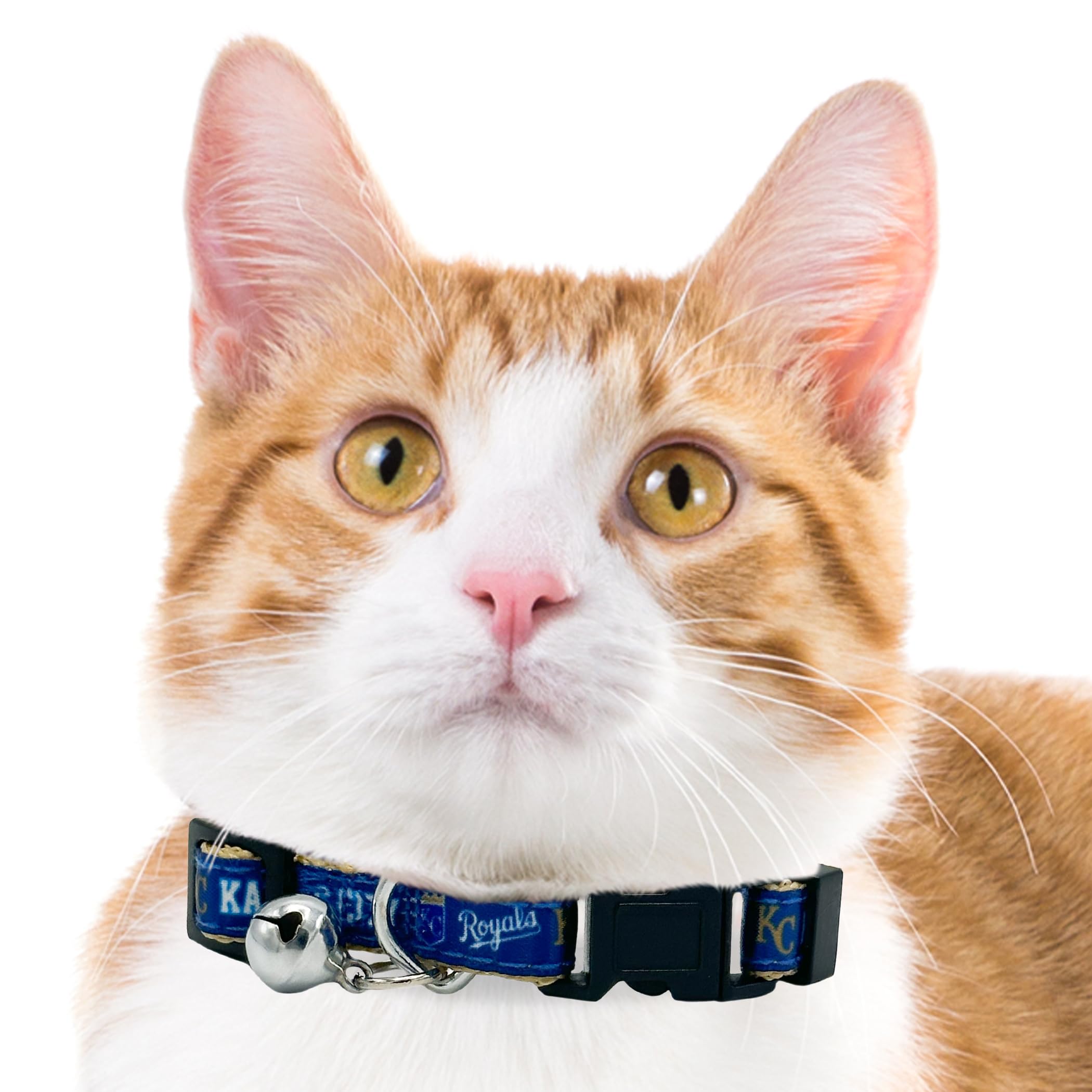 Mlb Cat Collar Kansas City Royals Satin Baseball Team Cat Collar With Bell For Dogs & Cats
