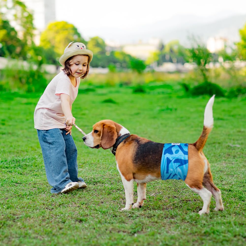 Micooyo Belly Bands For Male Dogs - 3 Pack Reusable Dog Diapers Male For Puppy Doggie, Washable Male Dog Wraps Xsmall