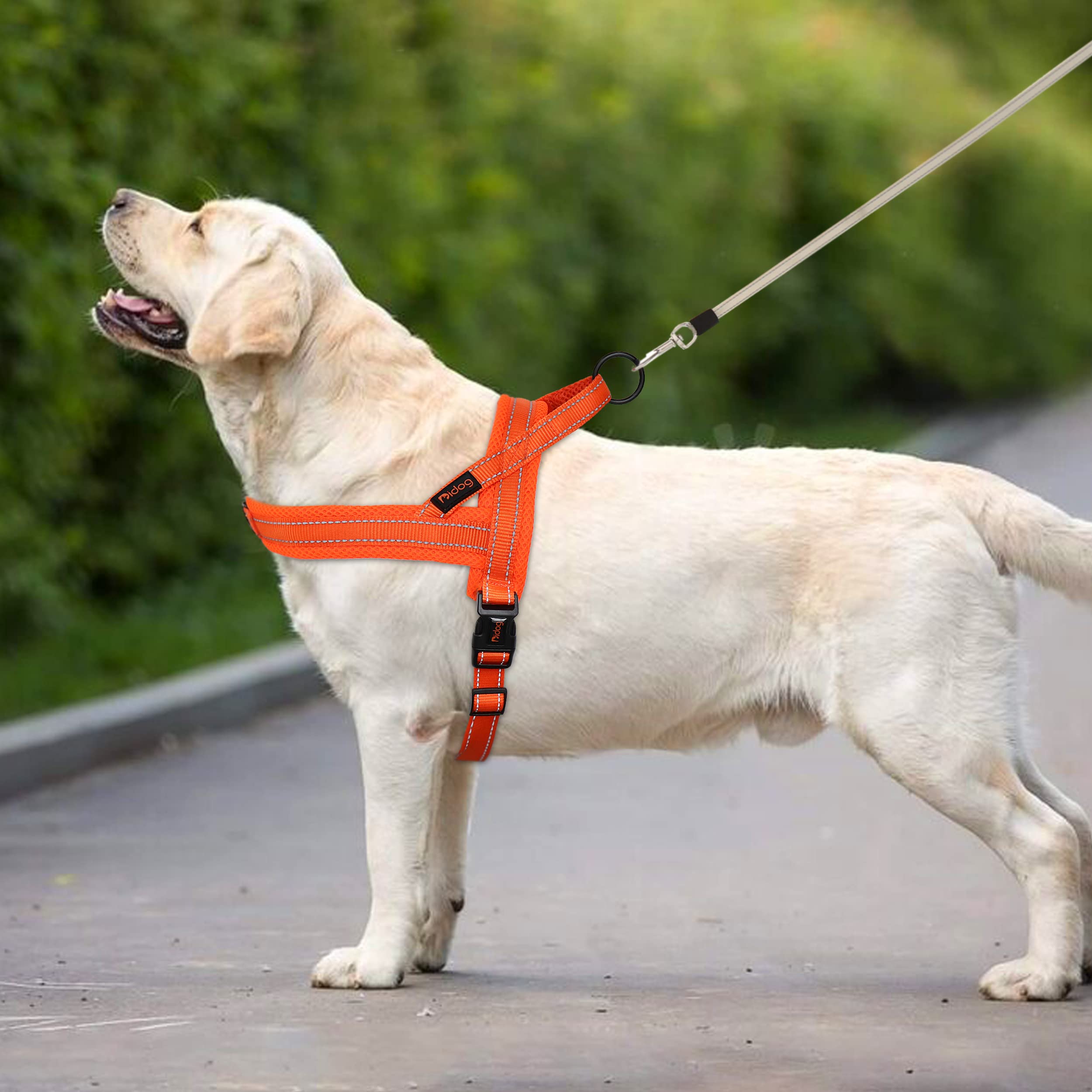 Didog Soft Mesh Padded Dog Vest Harness,Escape Proof/Quick Fit Reflective Dog Strap Harness, Easy For Training Walking (L:Chest 26-32', Orange)