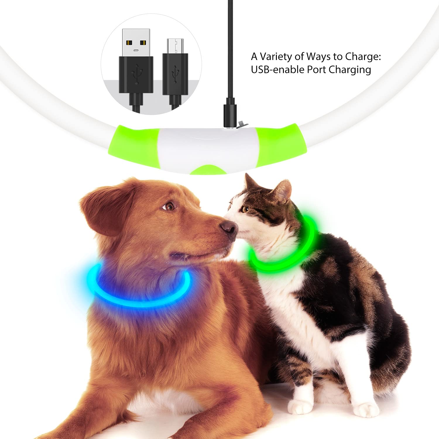 Higuard Led Dog Collar Usb Rechargeable Glowing Pet Collars Lighted Up Safety Necklace Glow In The Dark For You & Your Dogs (Gre