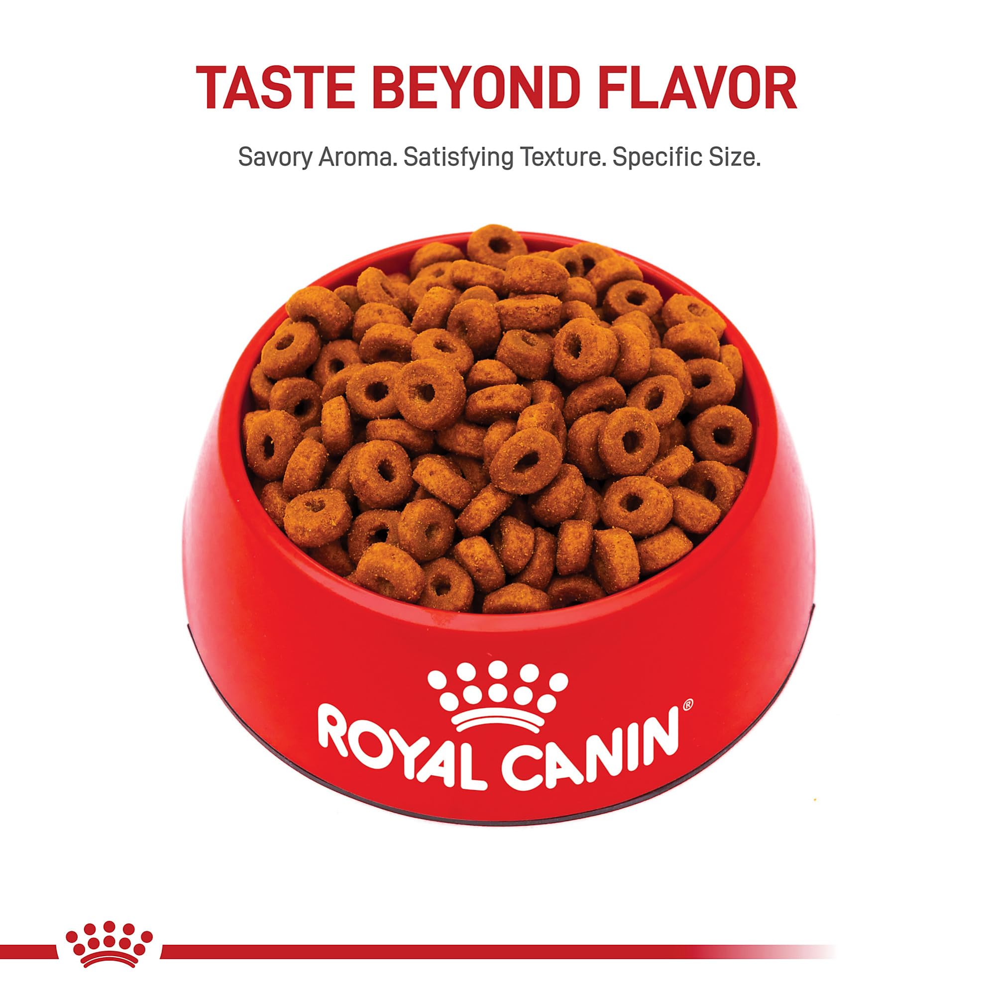 Royal Canin Size Health Nutrition Large Aging 8+ Dry Dog Food, 30 lb bag