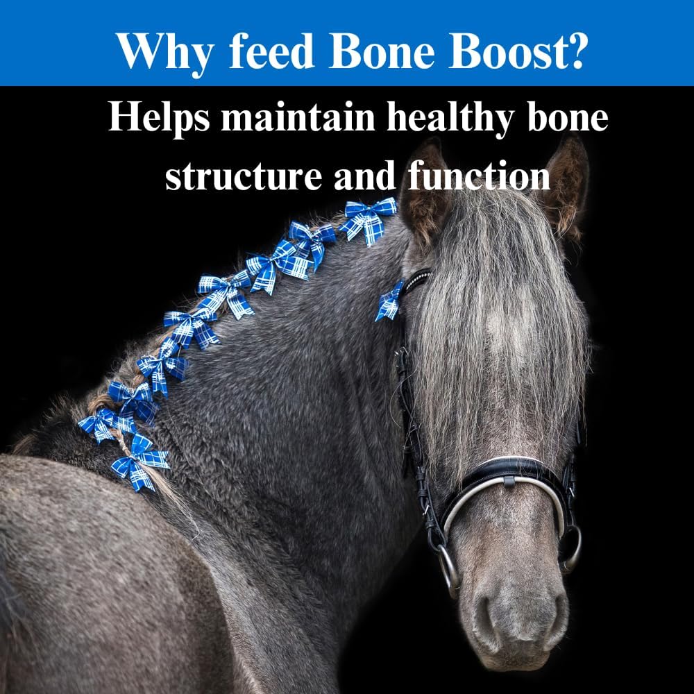 SU-PER Bone Boost Horse Minerals - Calcium Phosphorus Magnesium Support for Bone Growth & Development - Horse Vitamins and Miner