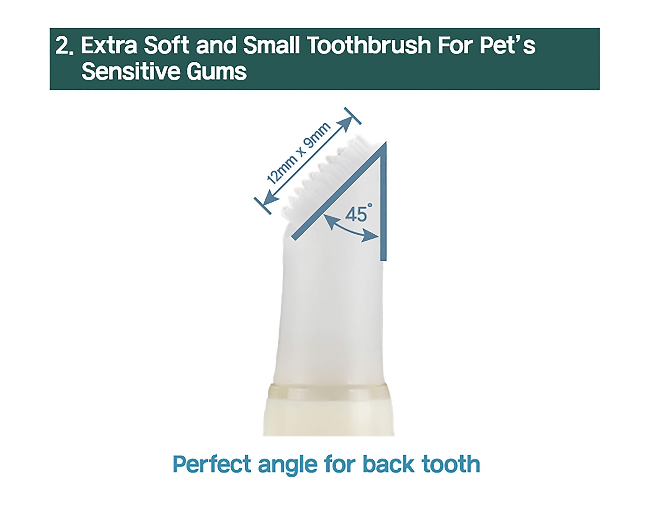 HIBOS Cat Toothbrush Toothpaste Dental Care - All in One Kit, Cat Toothpaste in Toothbrush, Cat Tooth Whitening & Cleaning, Cat